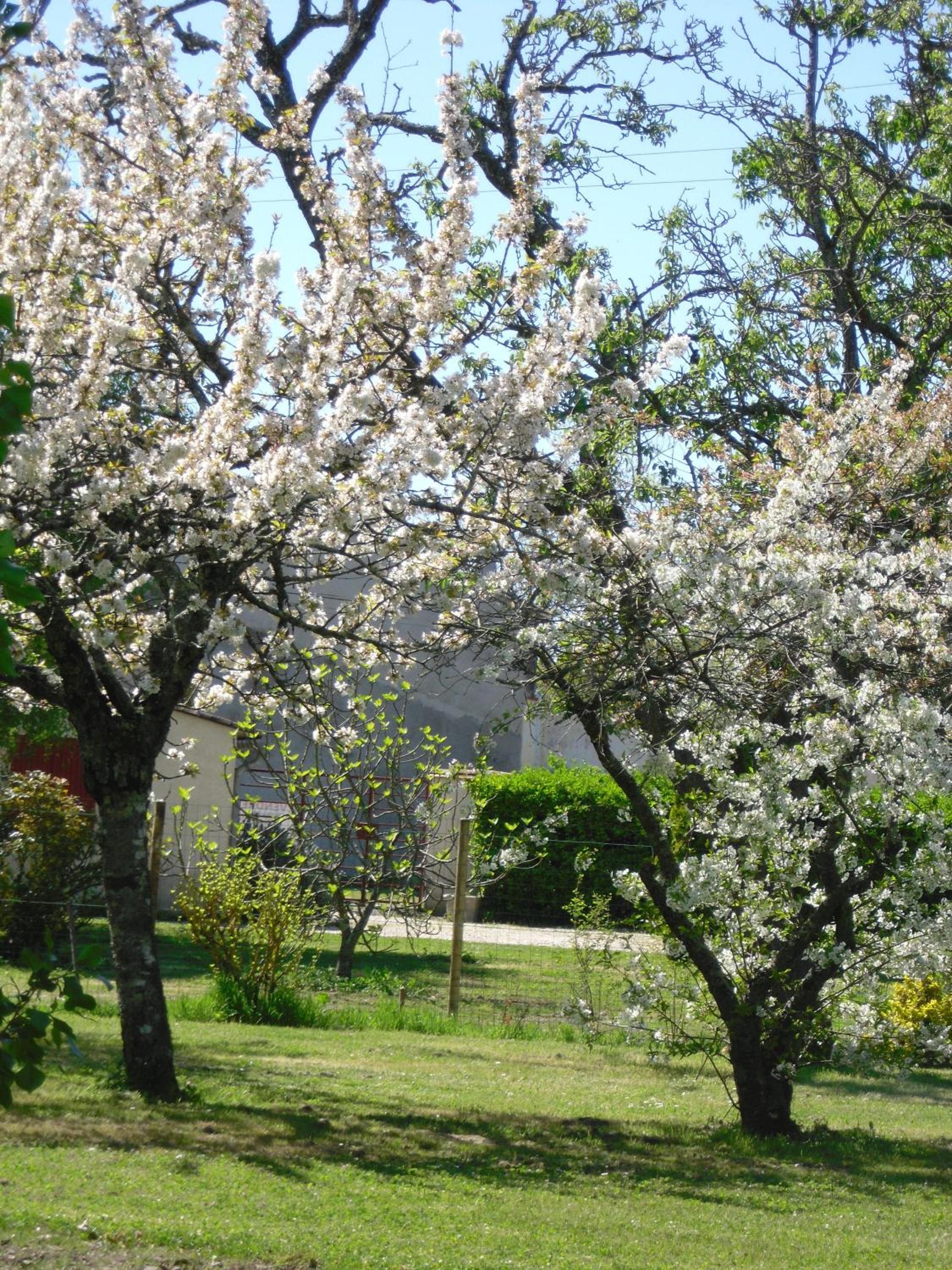 Le Manoir Lacustre