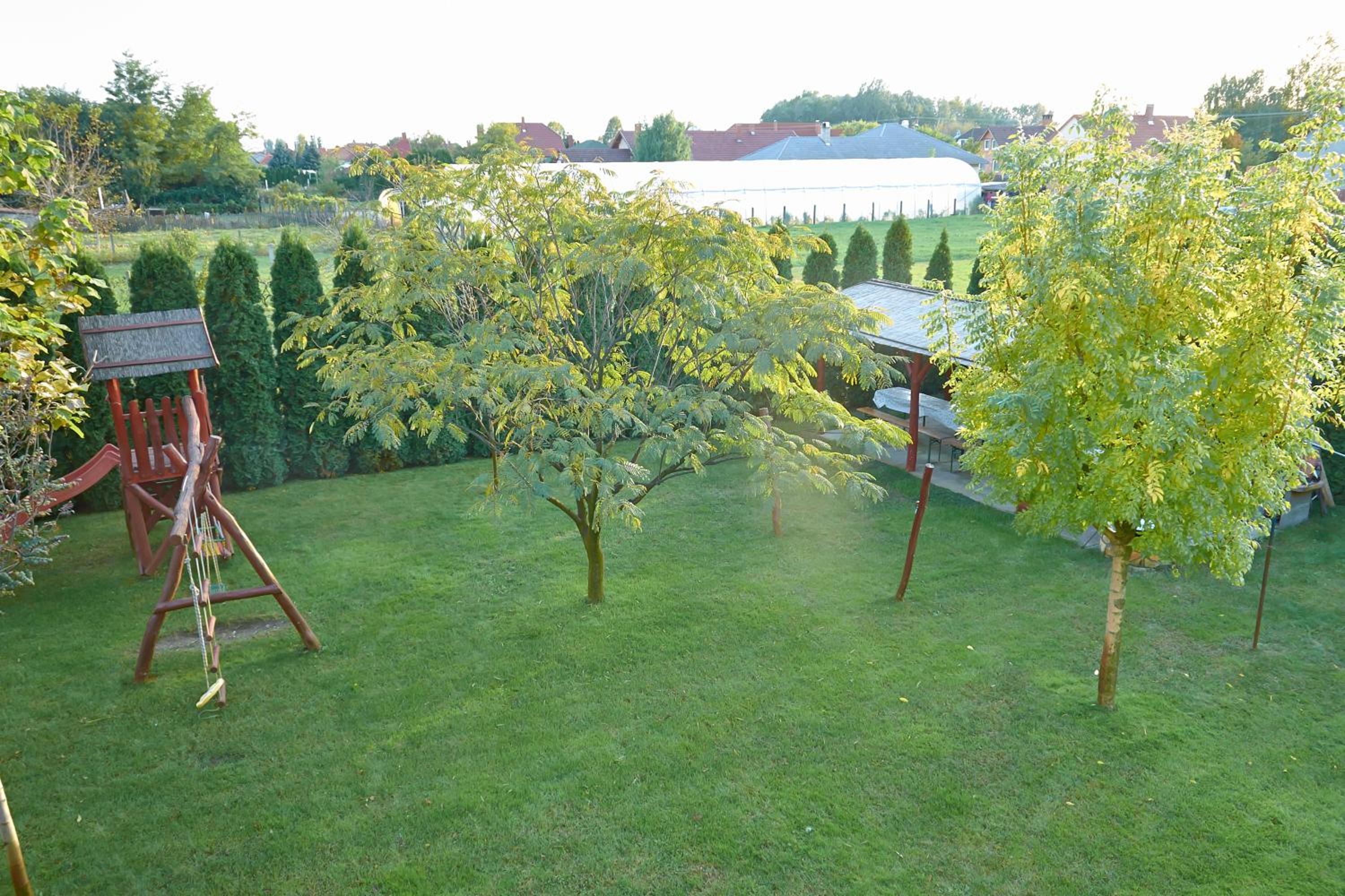 Photo 33