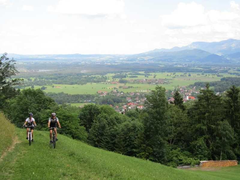 Koglhof
