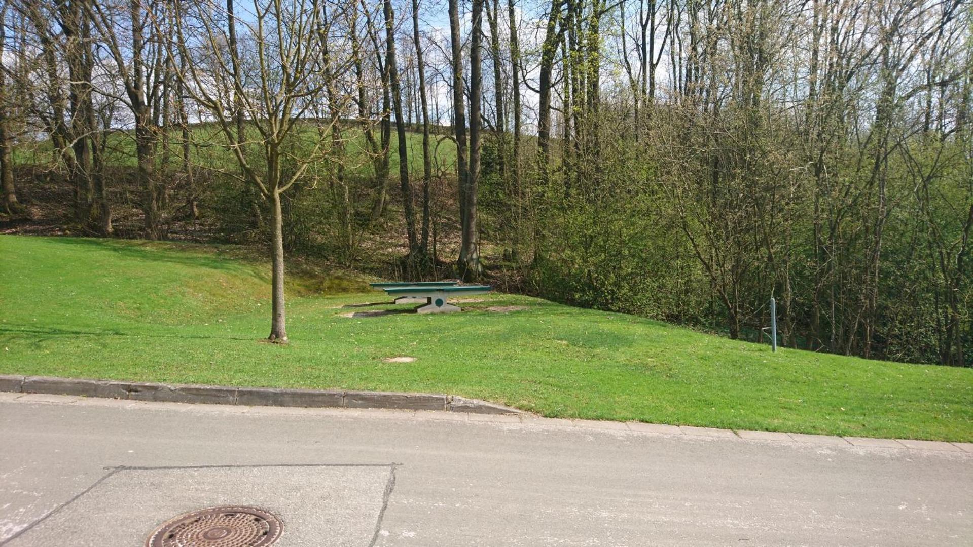 vila krkonoše