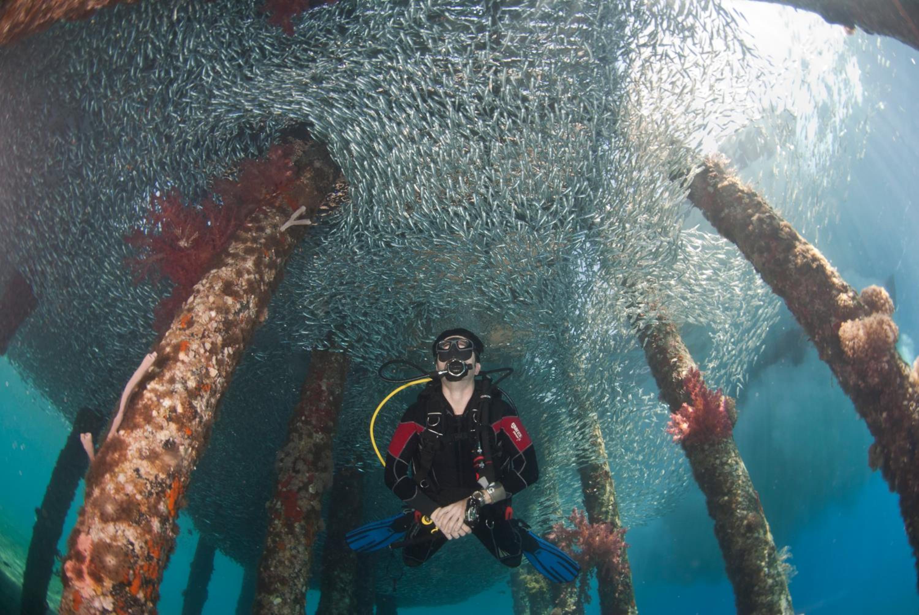 Aqaba Vacations - Aqaba Adventure Divers Resort Dive Center - Property Image 16