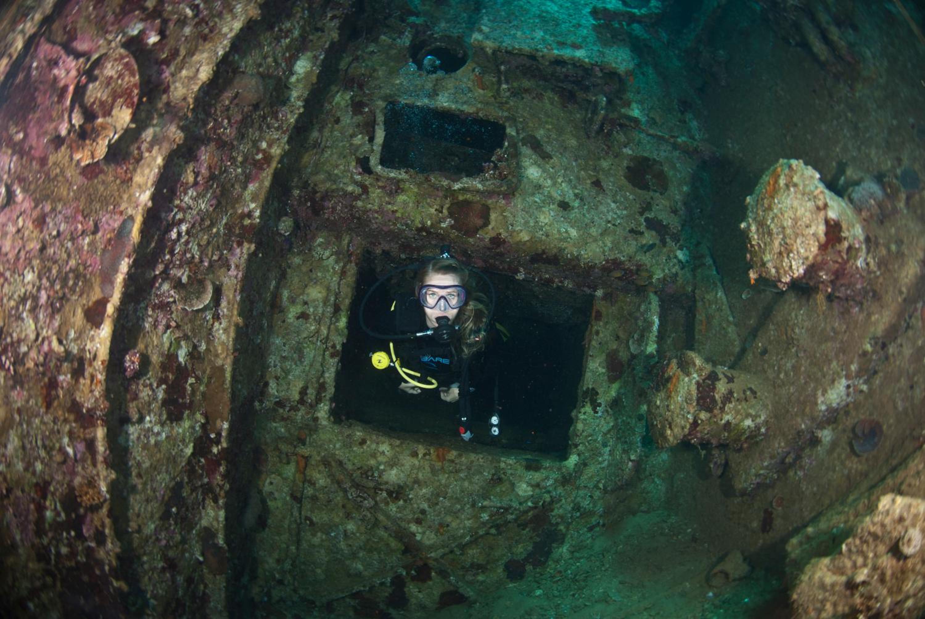 Aqaba Vacations - Aqaba Adventure Divers Resort  Dive Center - Property Image 12