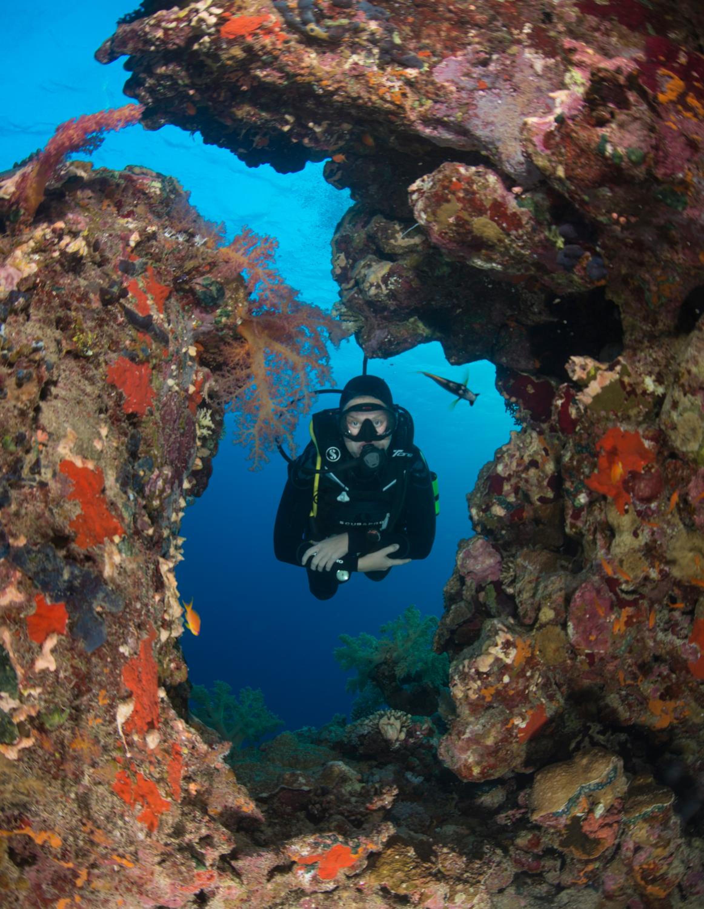 Aqaba Vacations - Aqaba Adventure Divers Resort  Dive Center - Property Image 9