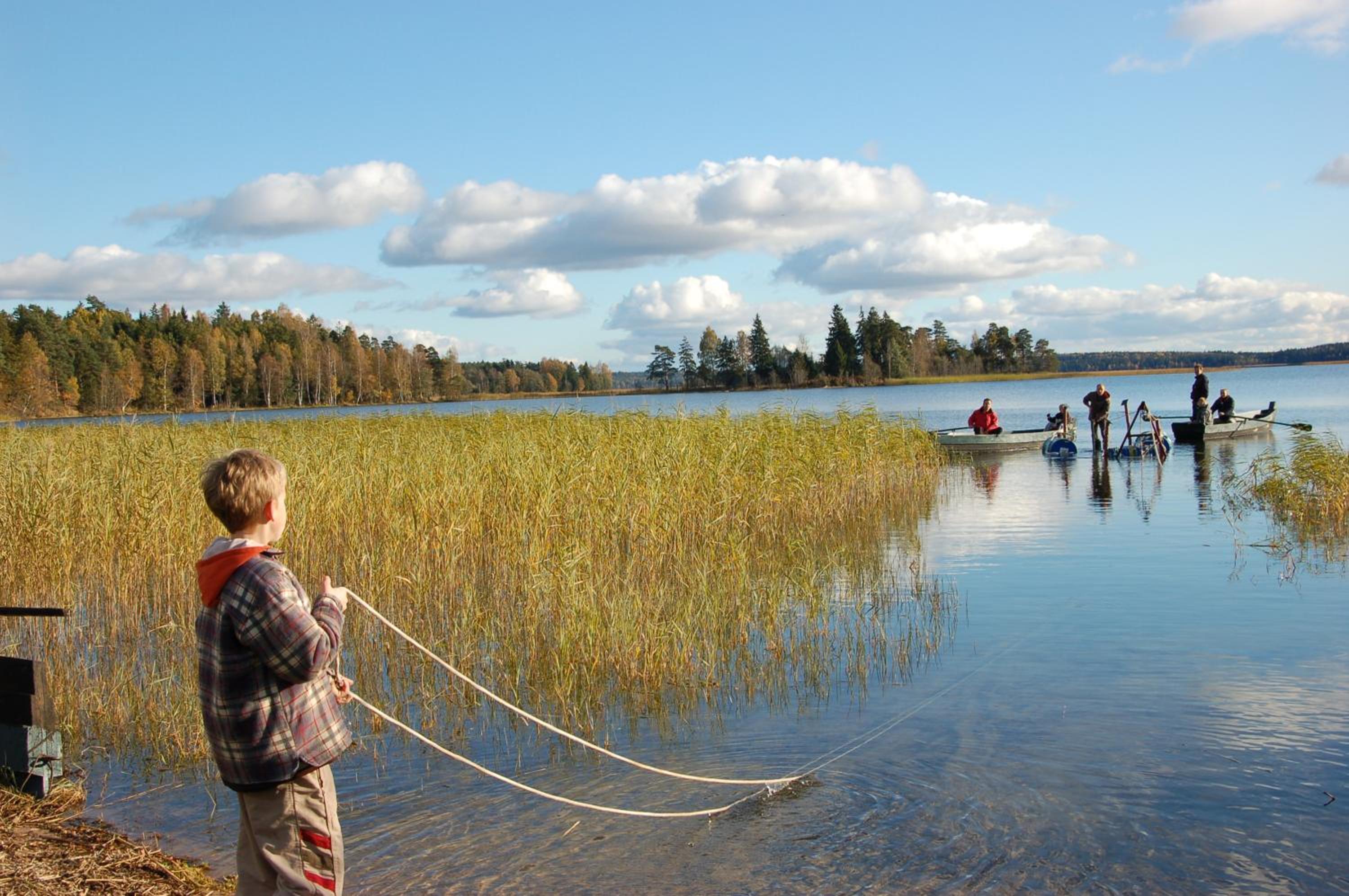 Photo 12