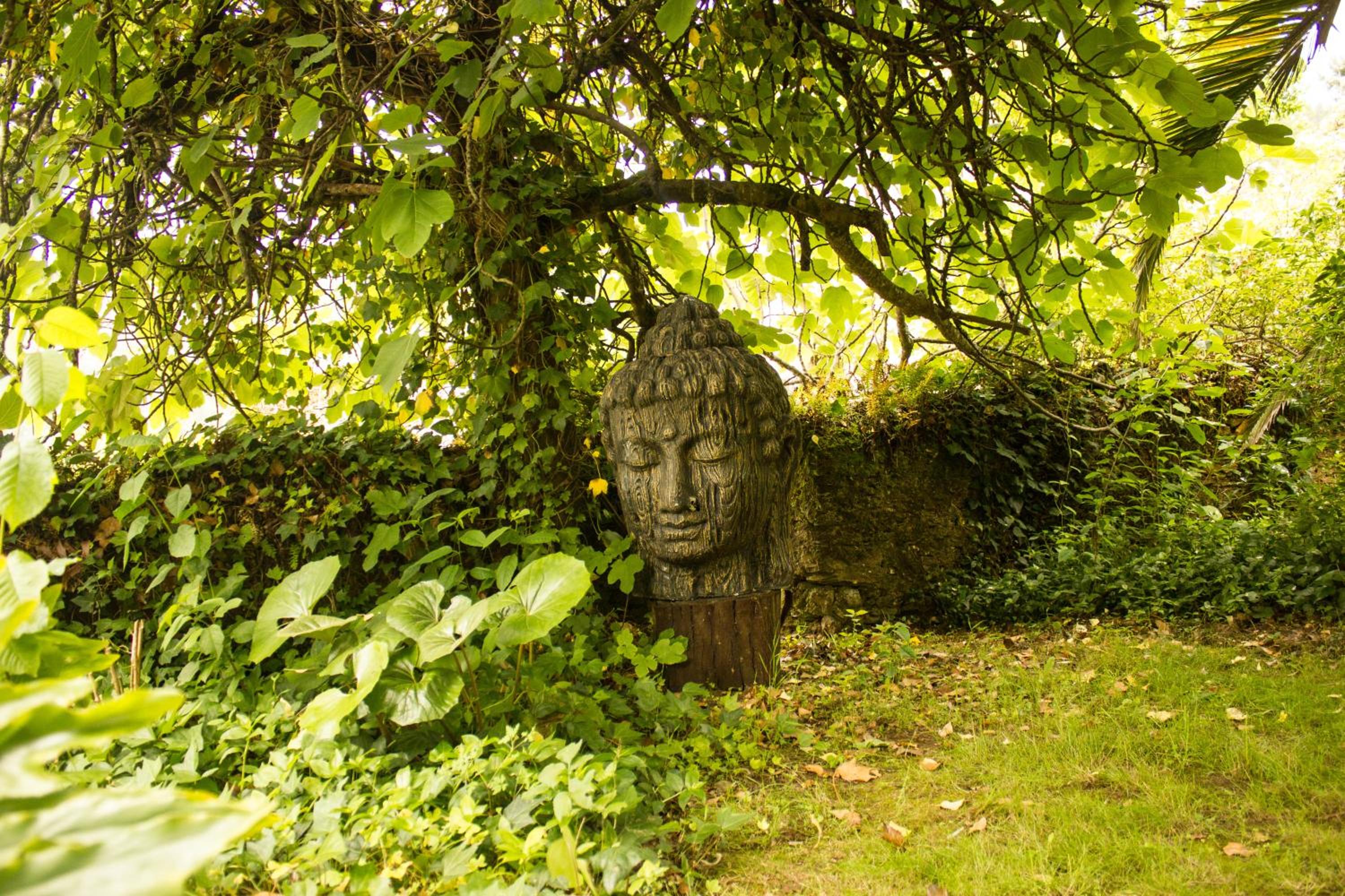 Photo 40