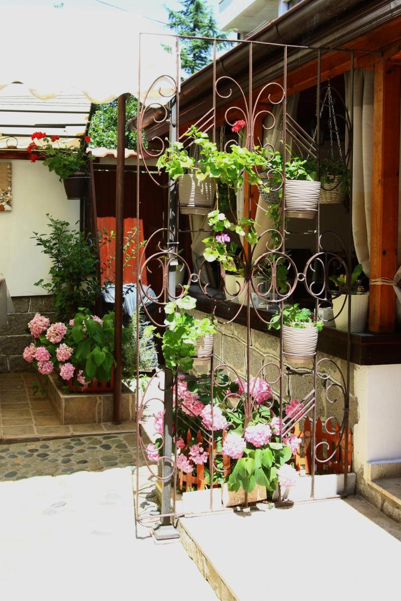 Guest House Plavas