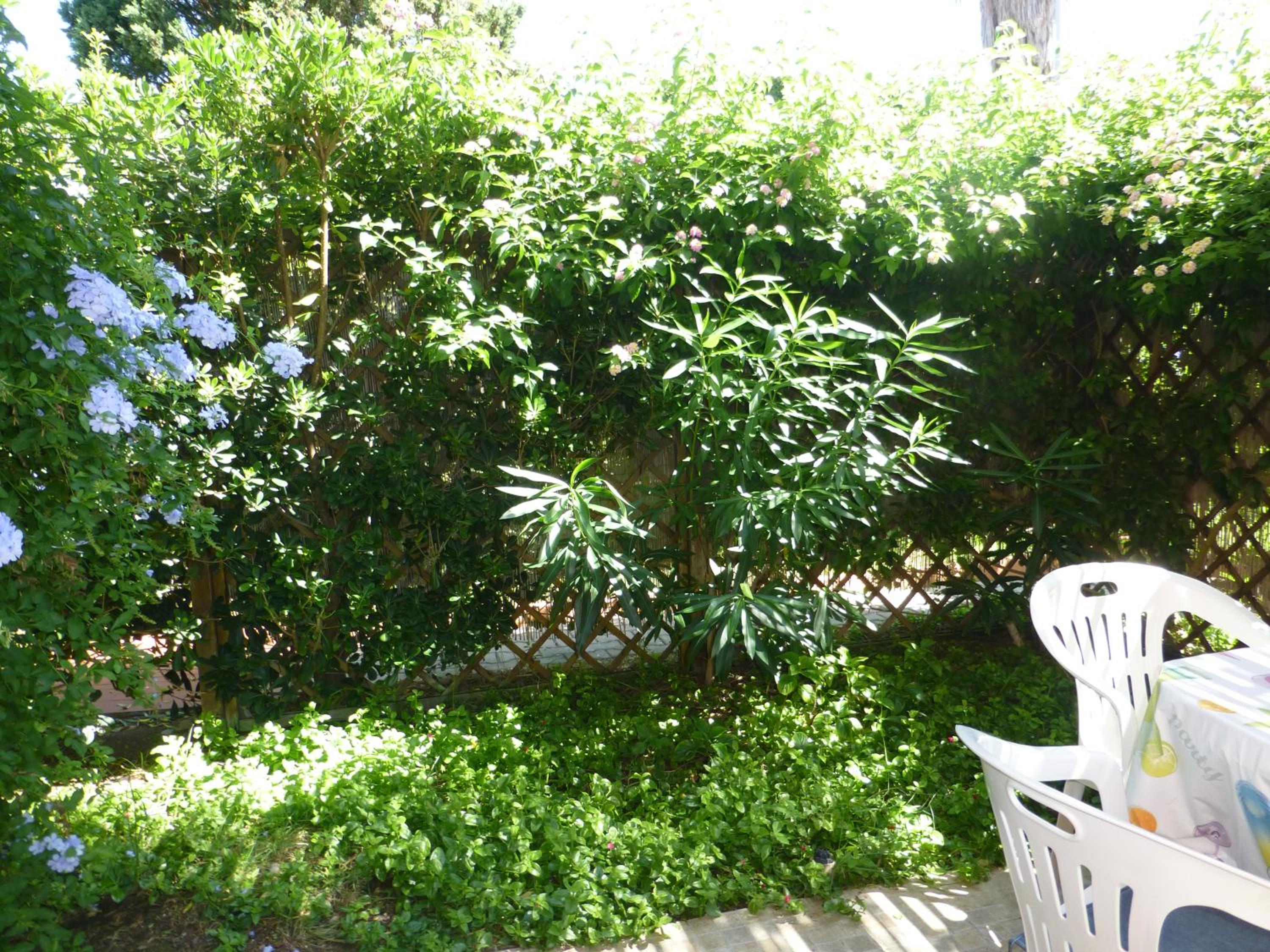 Photo 43