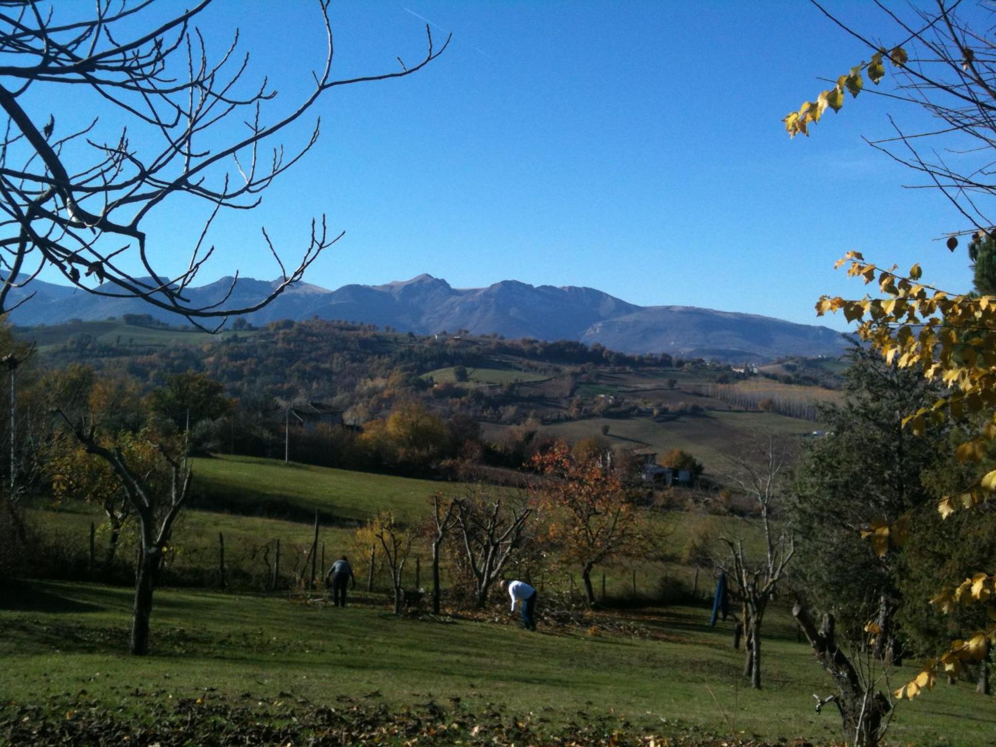 Photo 9