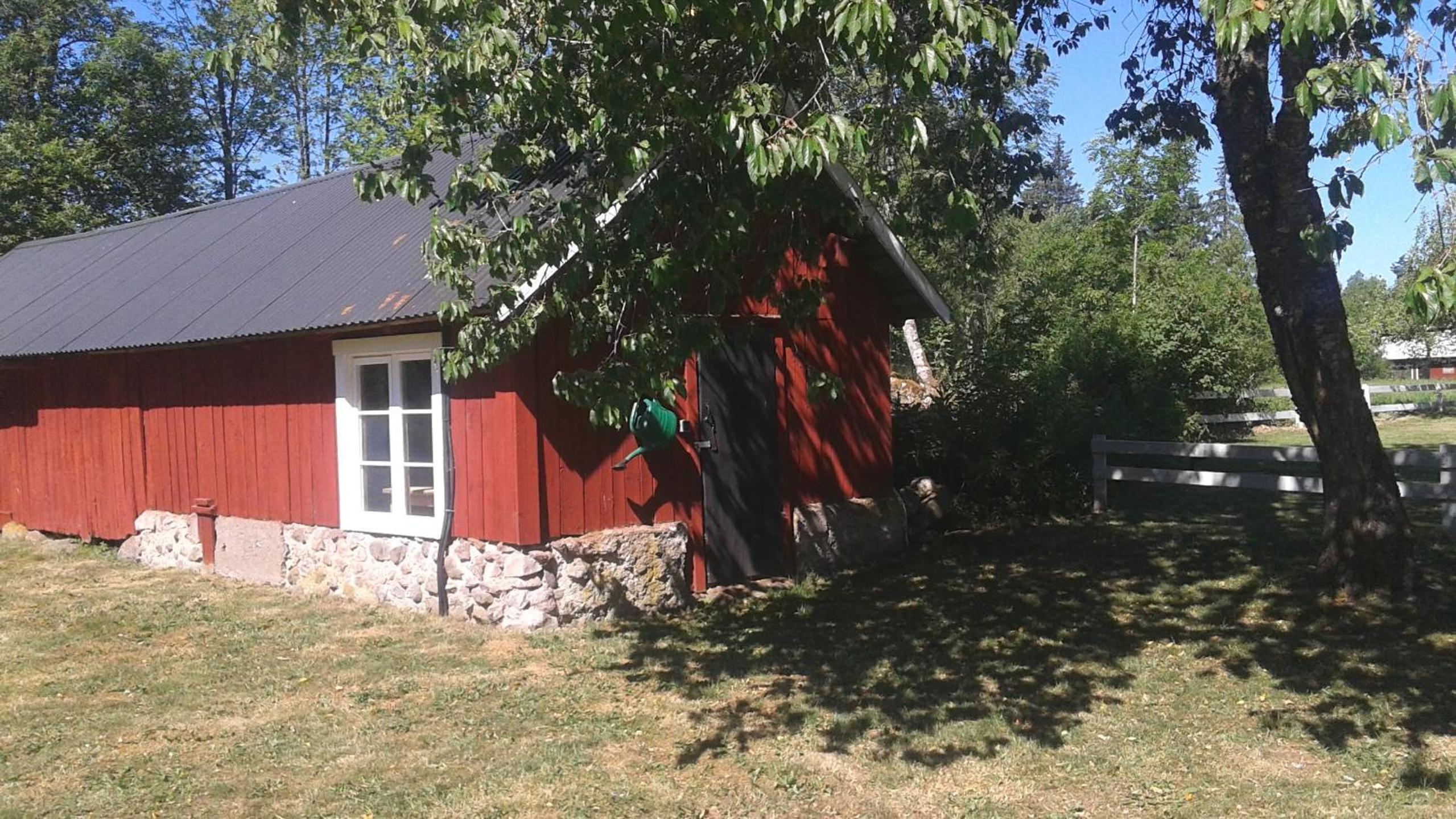 Photo 19
