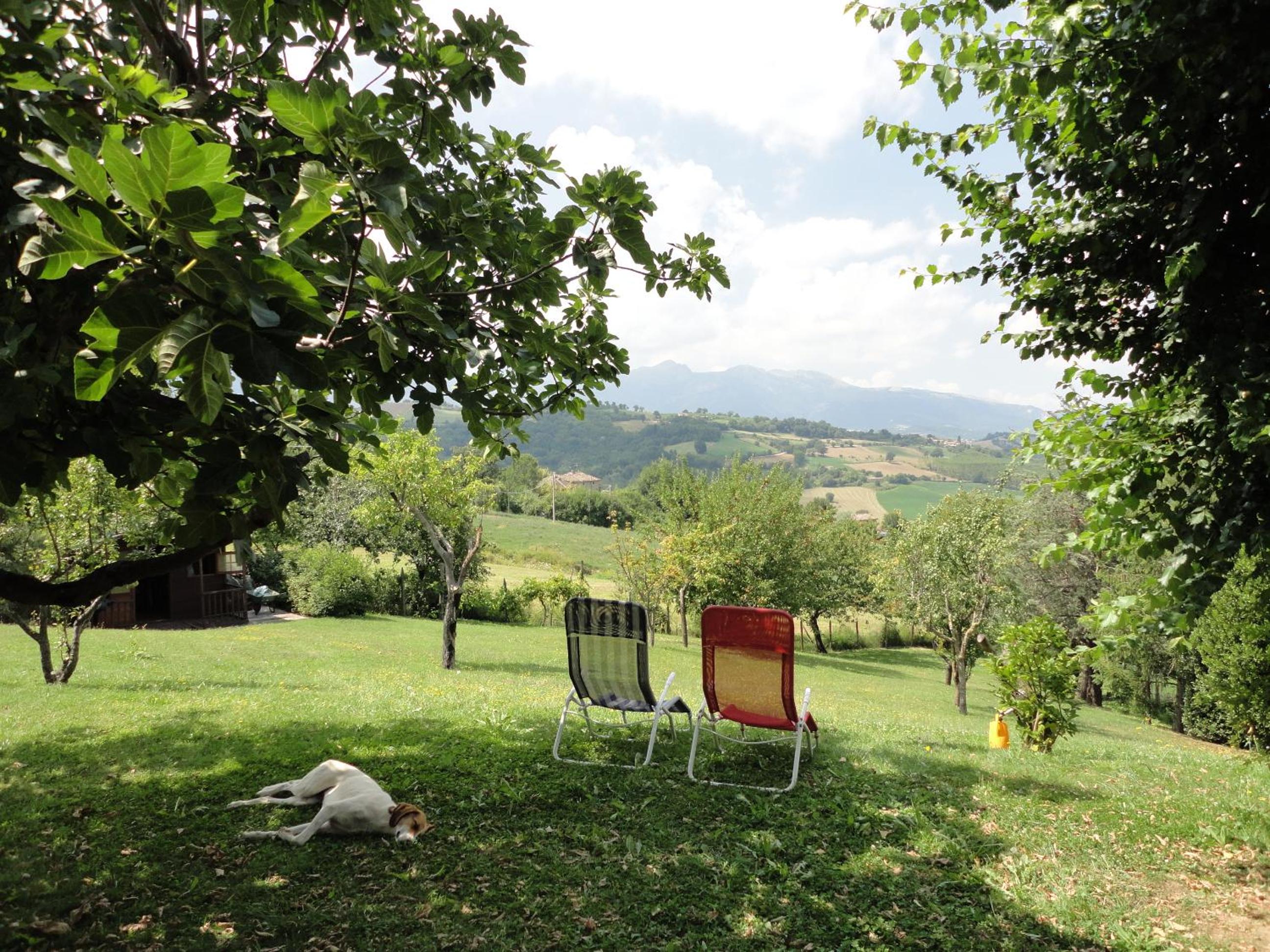 Villa Arzilla view 5
