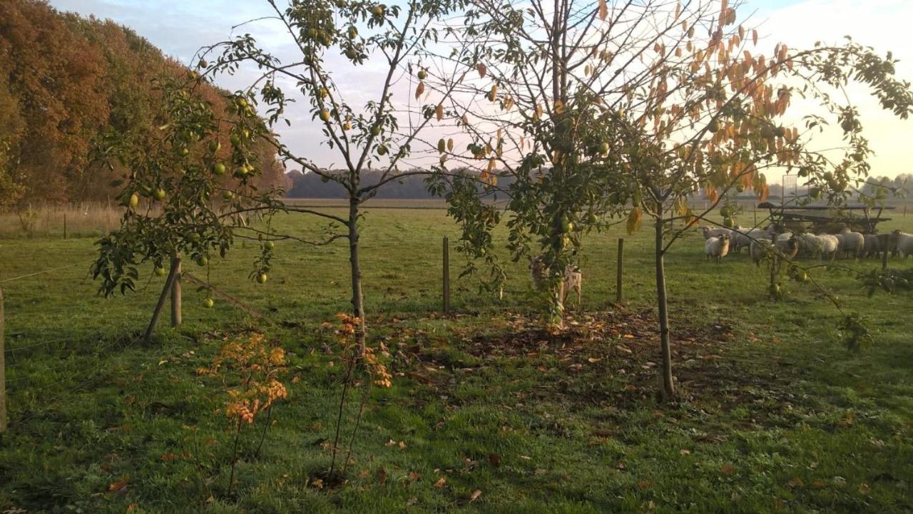 Pipowagen Lidewei Groningen Westerwolde unieke ligging met eigen tuin en vrij uitzicht over veld naar natuurgebied