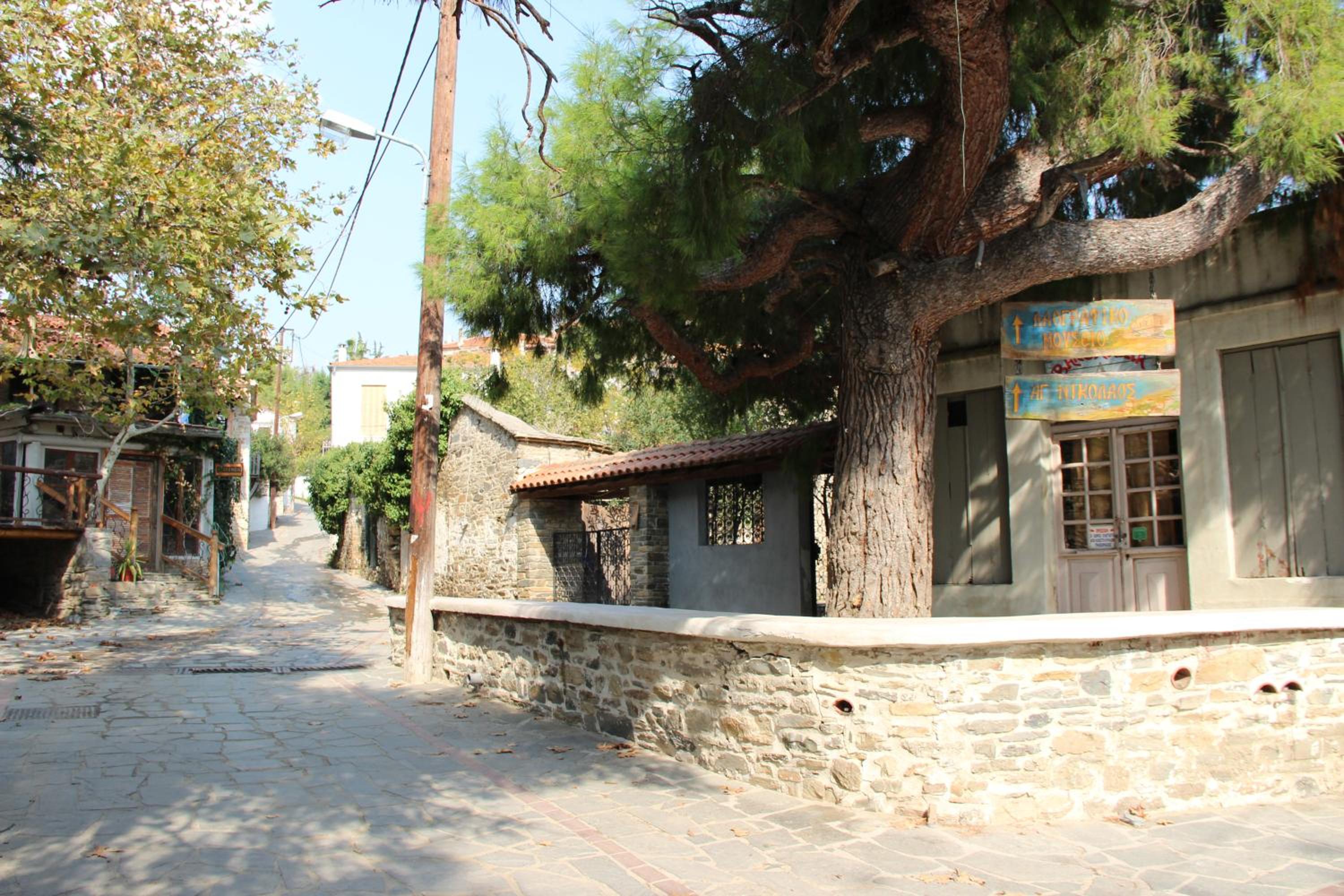 Photo 22