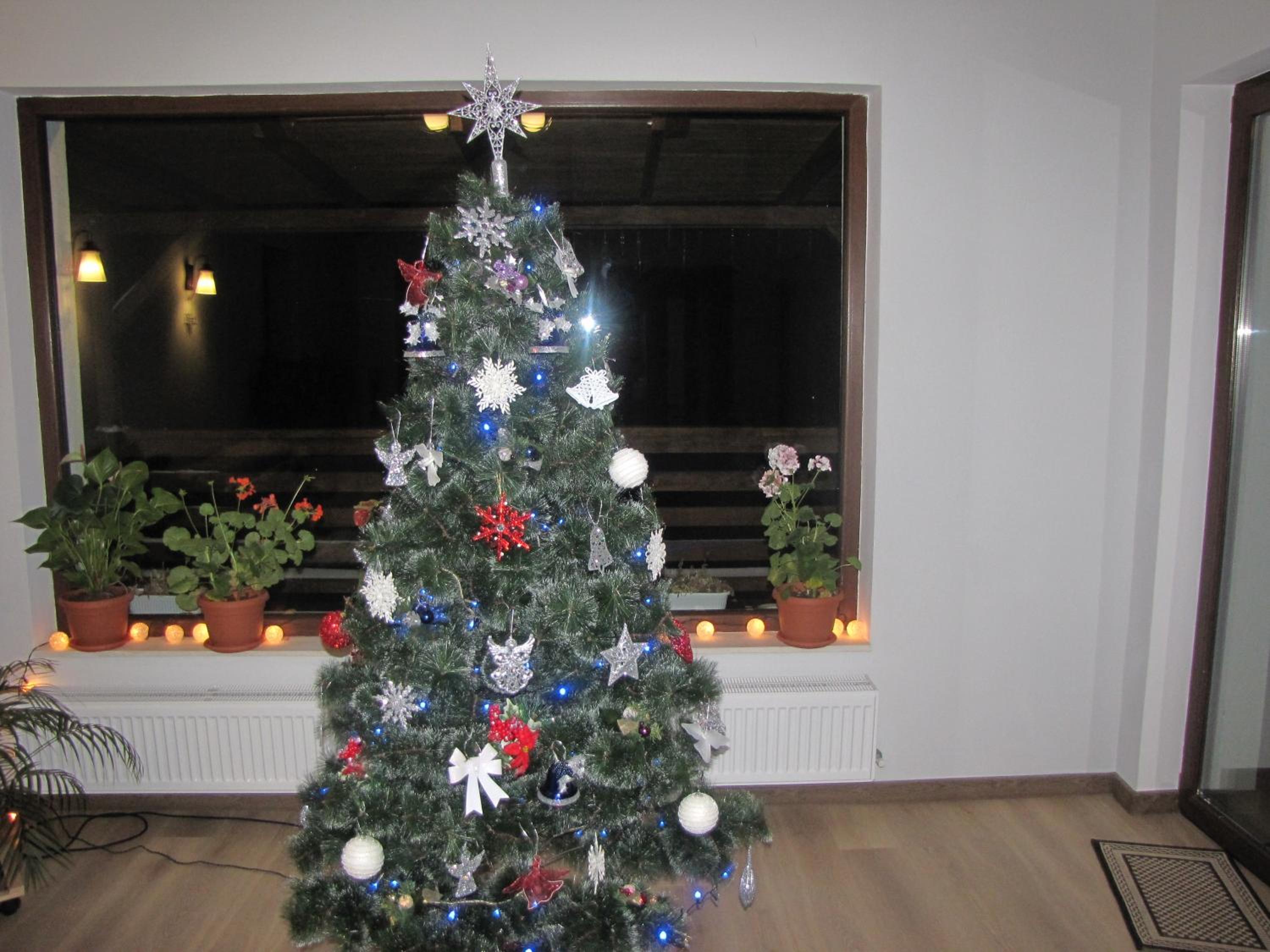 Photo 9