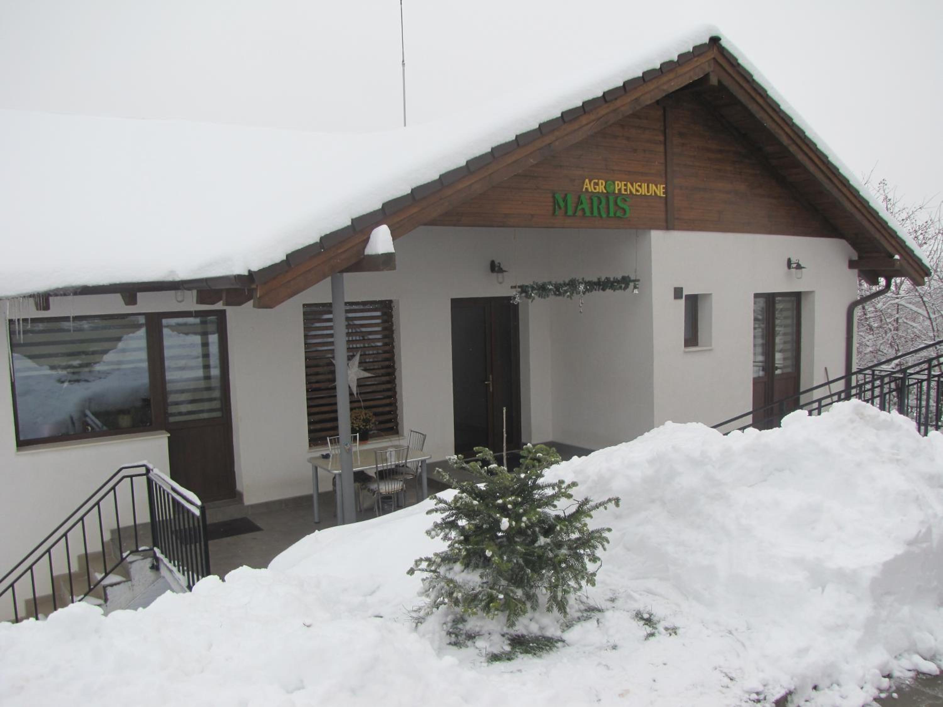 Photo 12