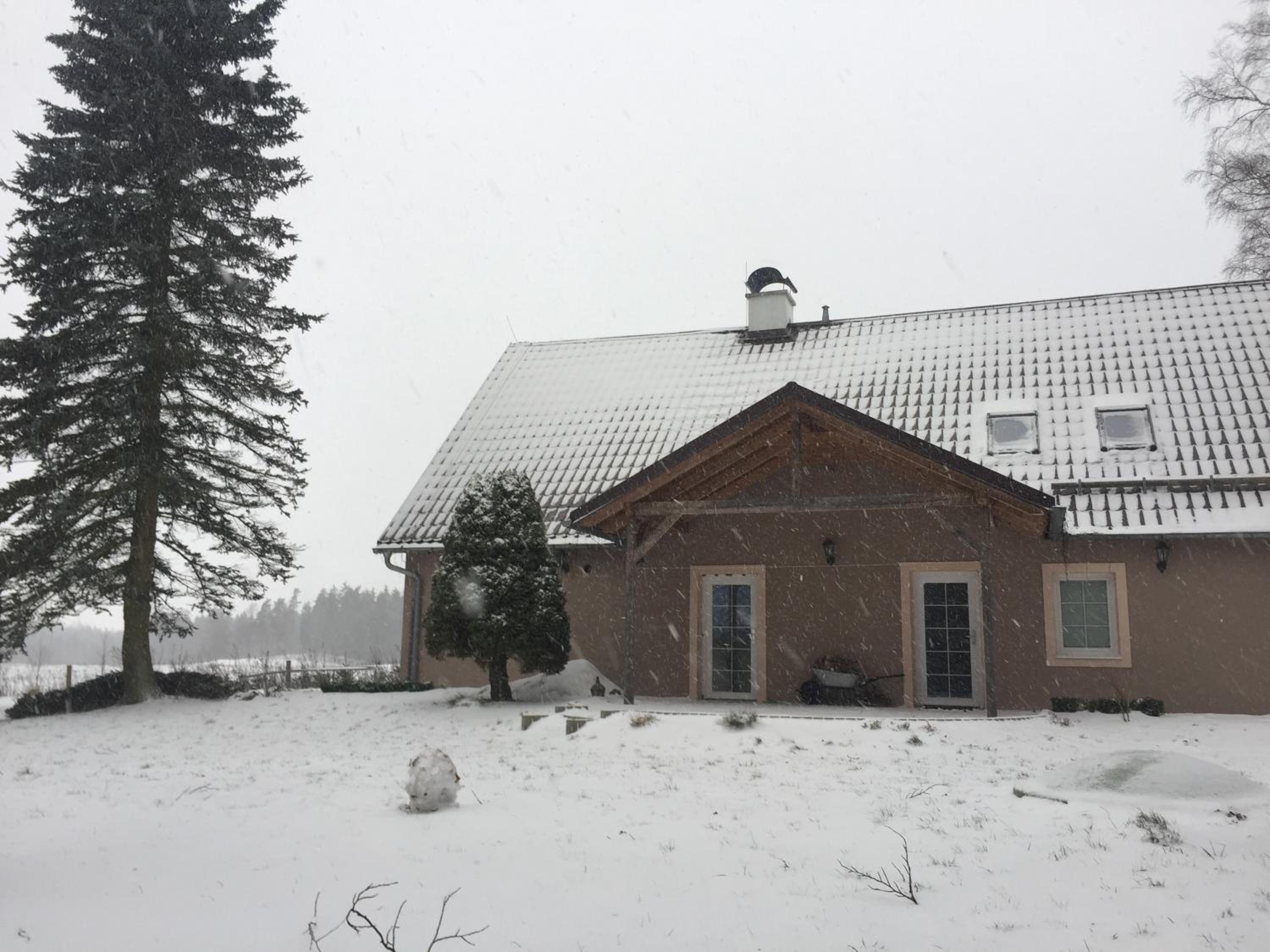 Photo 37