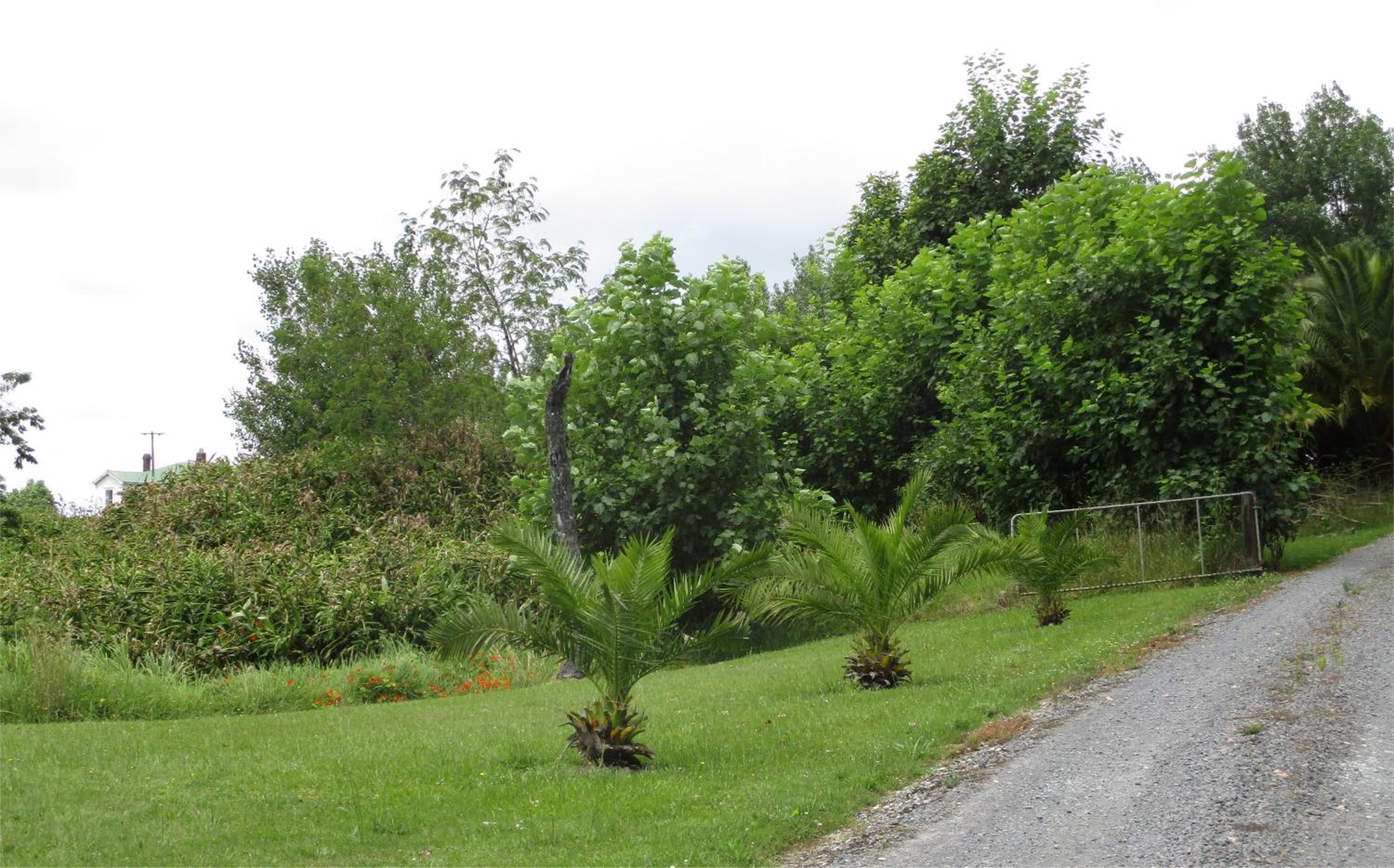 Photo 9