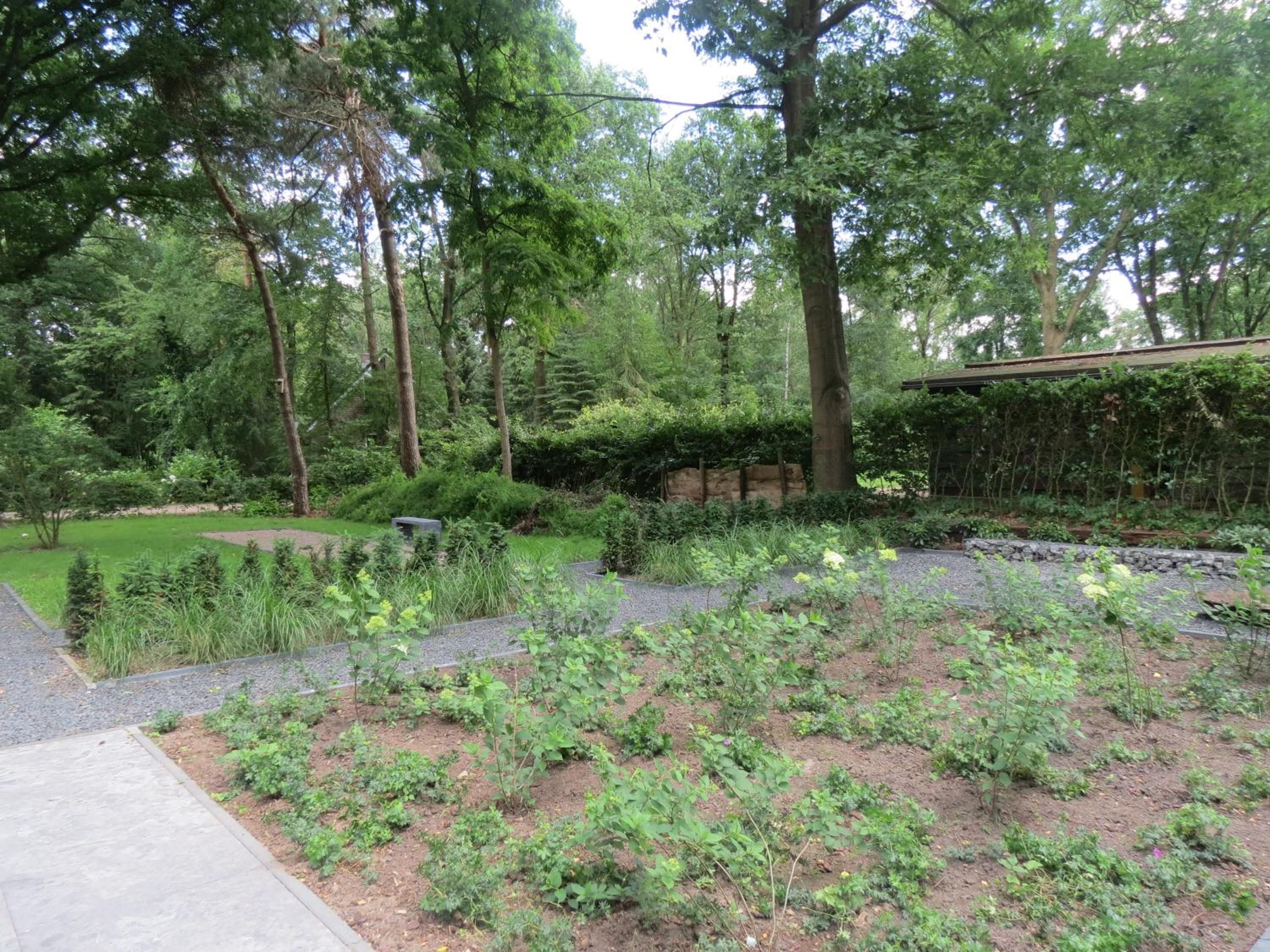 Photo 14