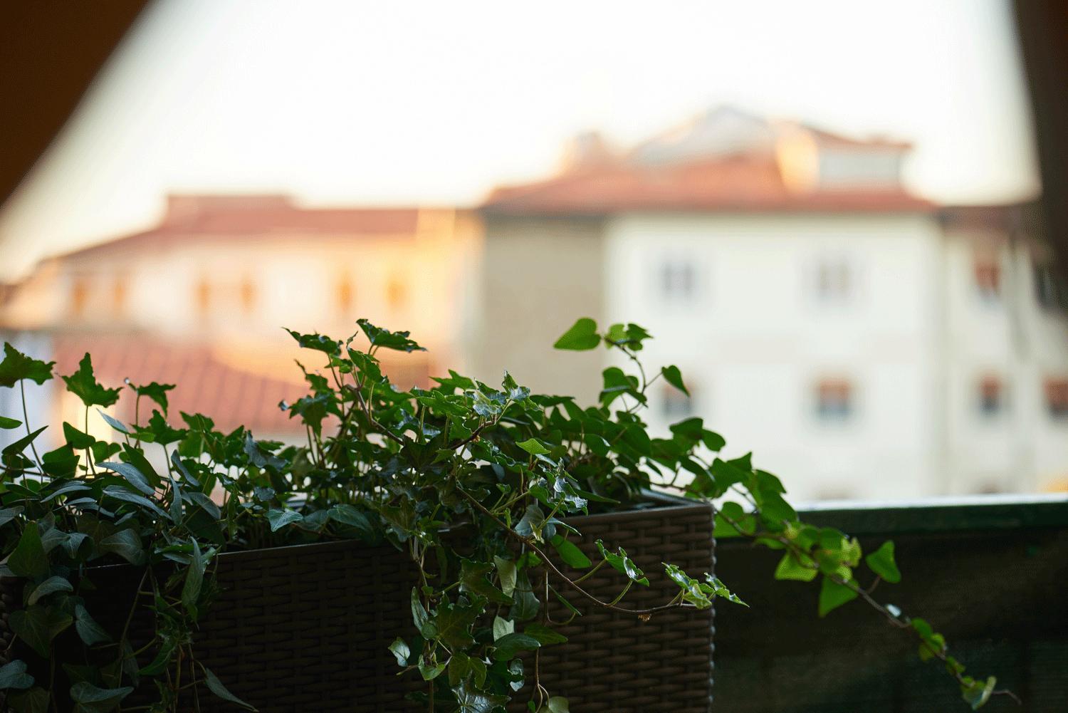 Belfiore Magé Apartment