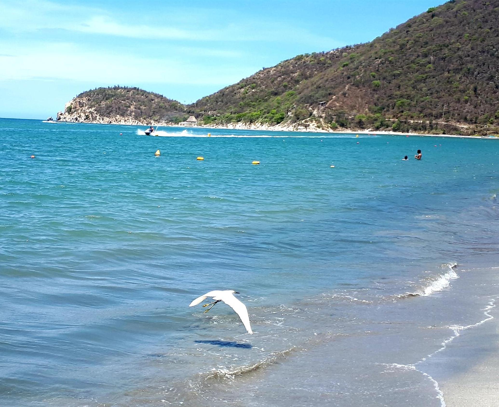 Apartamento Frente al Mar
