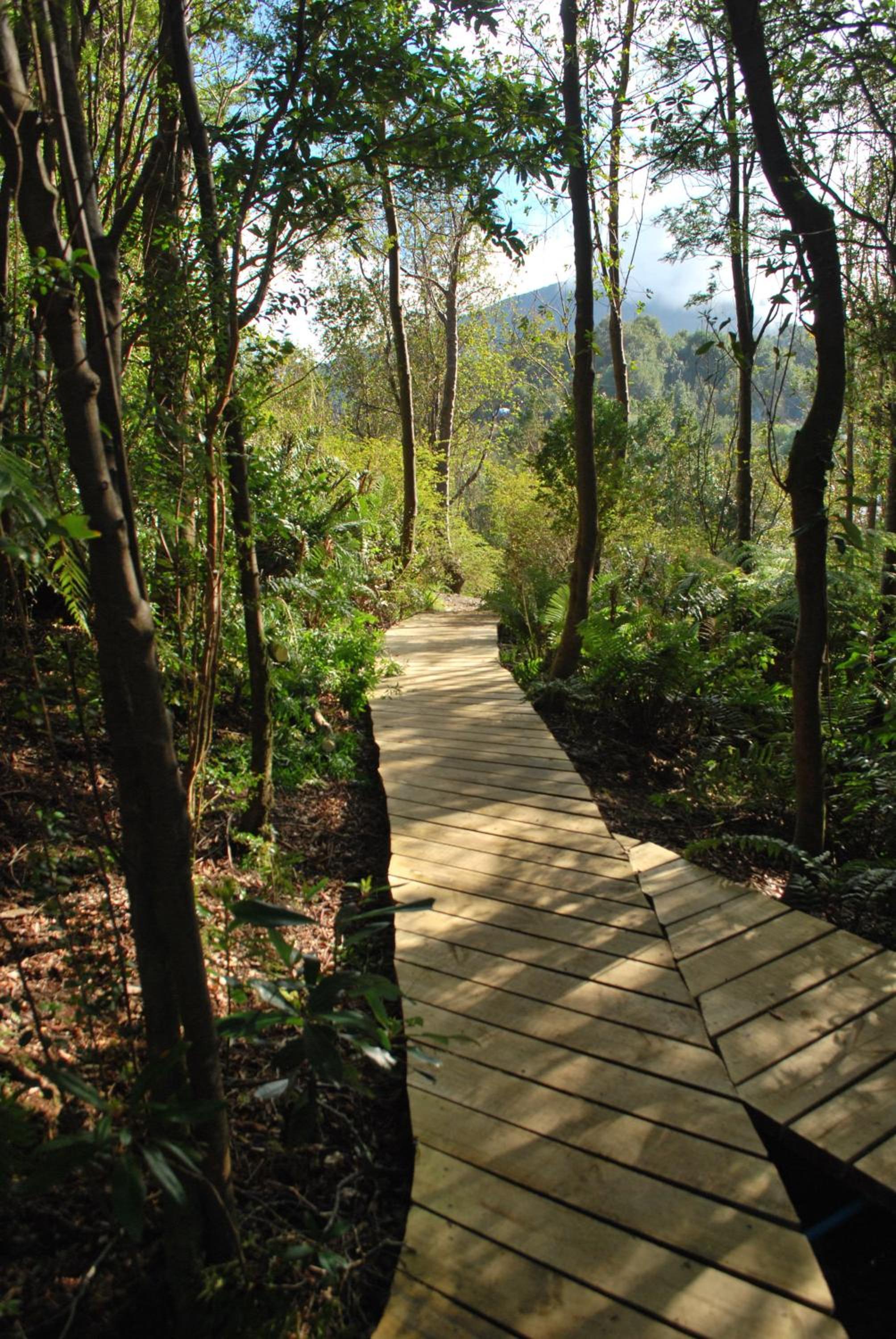 Chucao Bosque y Cabañas