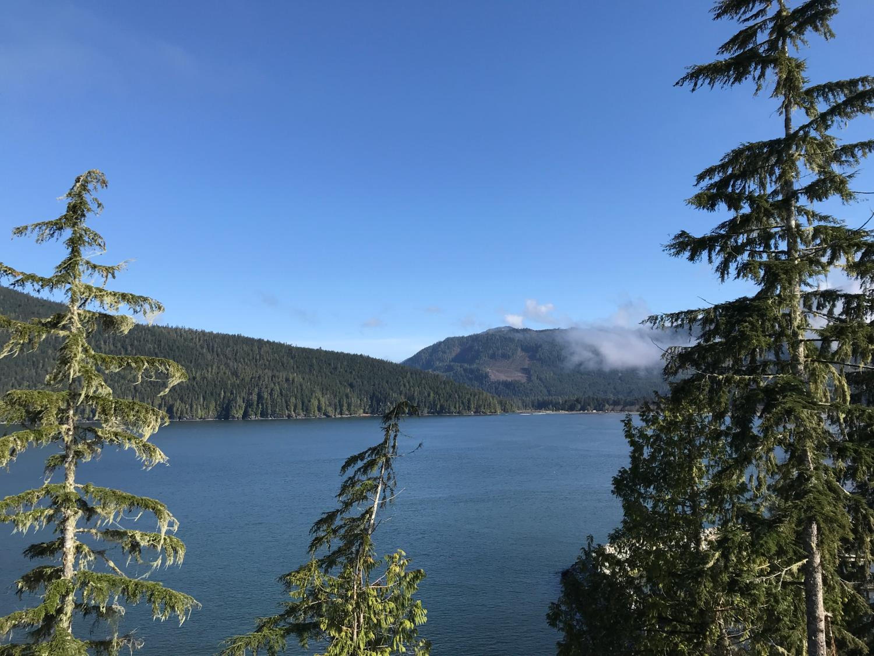 Port Renfrew Vacation Rentals