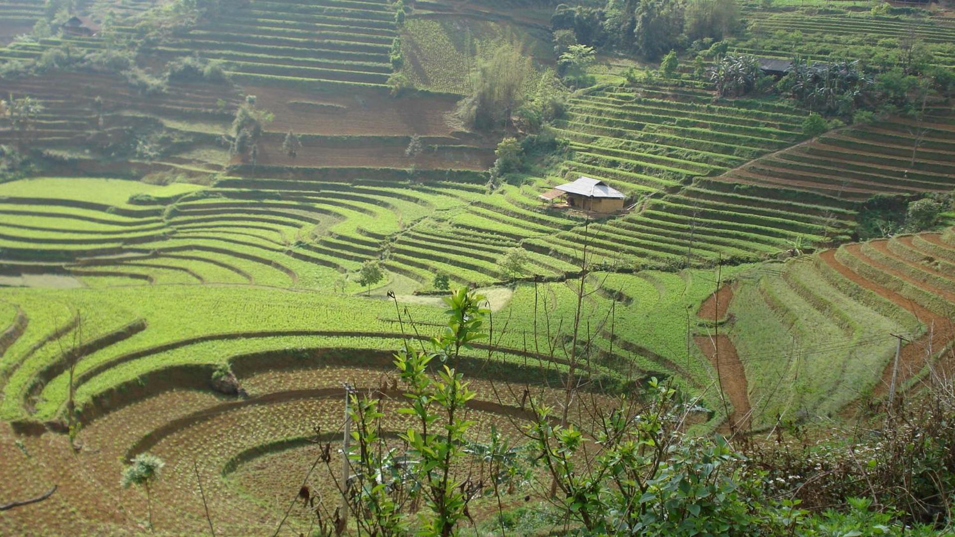 Sa House Bac Ha