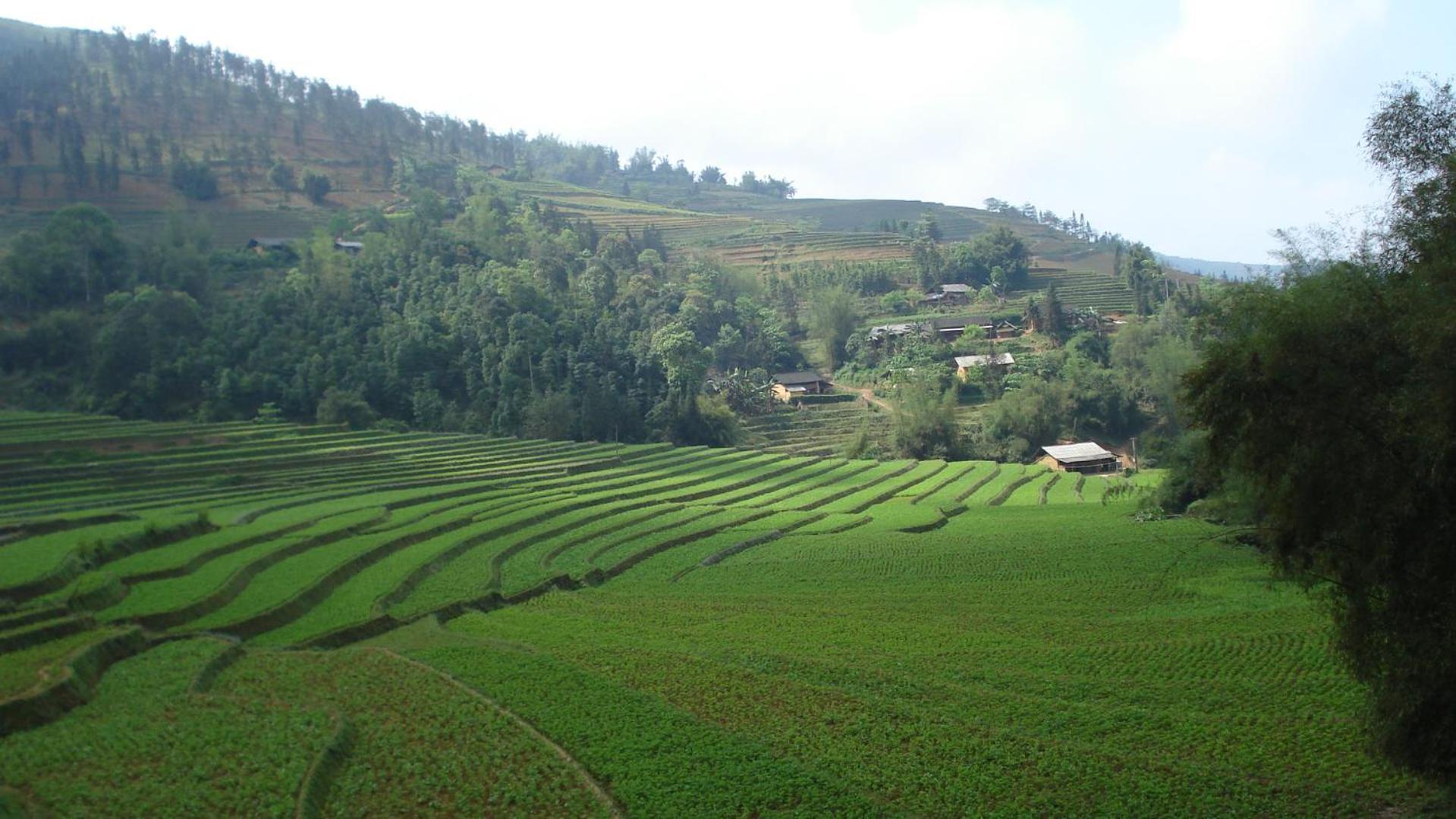 Sa House Bac Ha