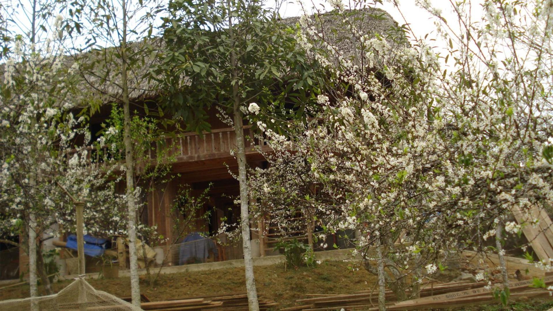 Sa House Bac Ha