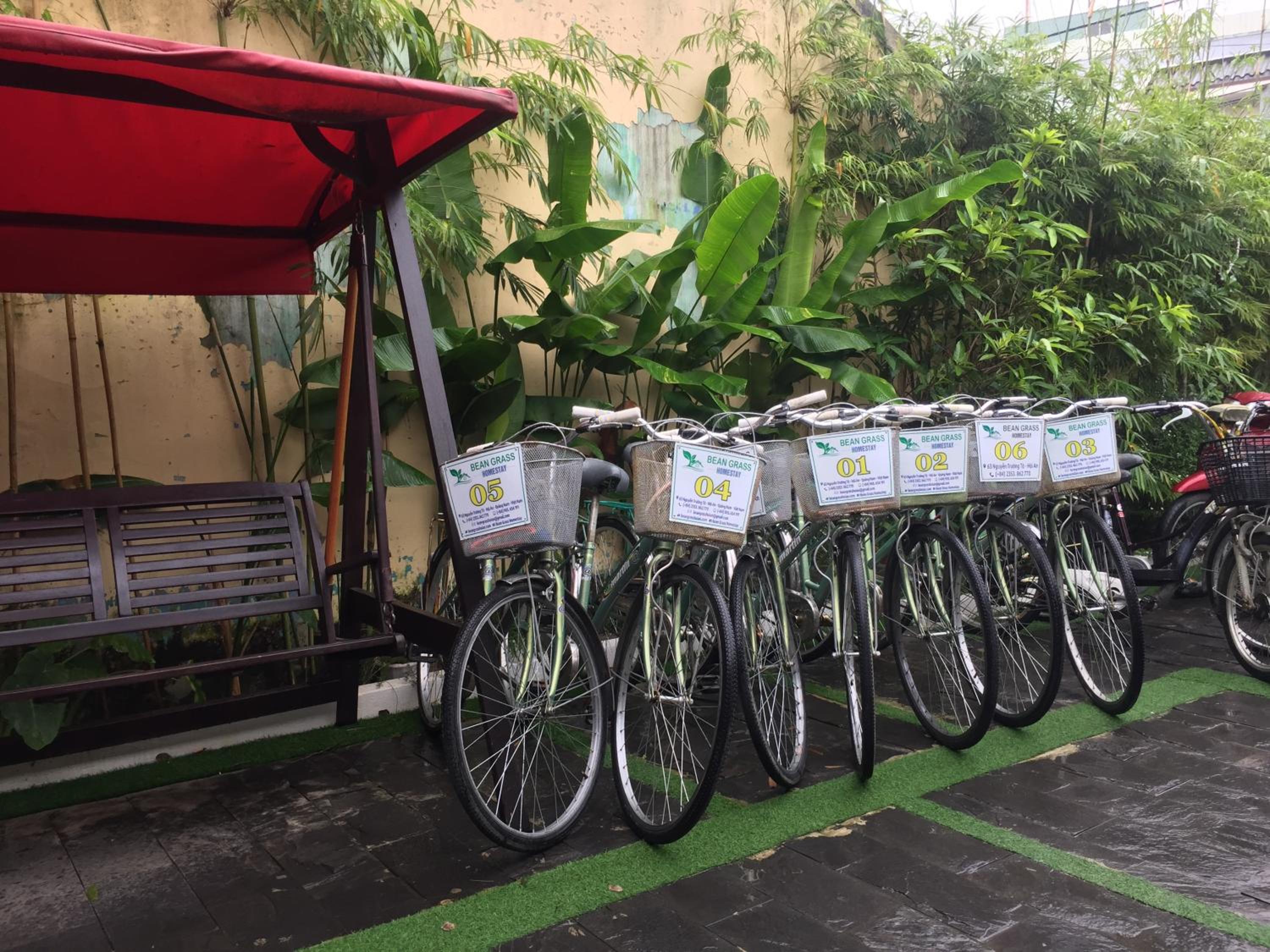 Bean Grass Homestay