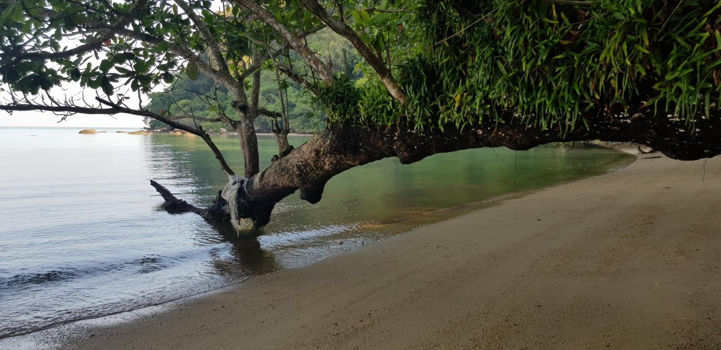 Pangkor Homestay Mewah photo 4