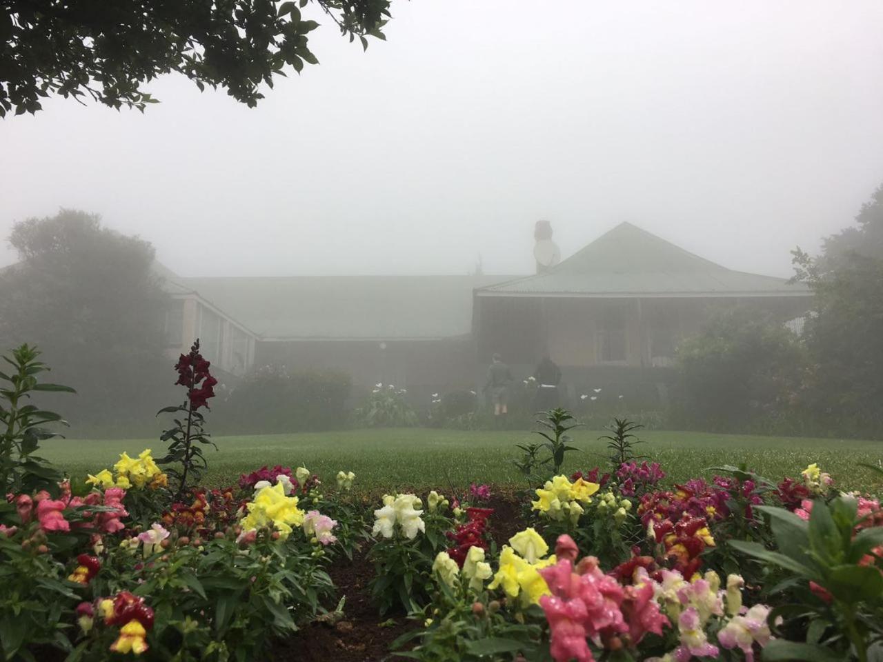 Mount Park Guest Farm view 5