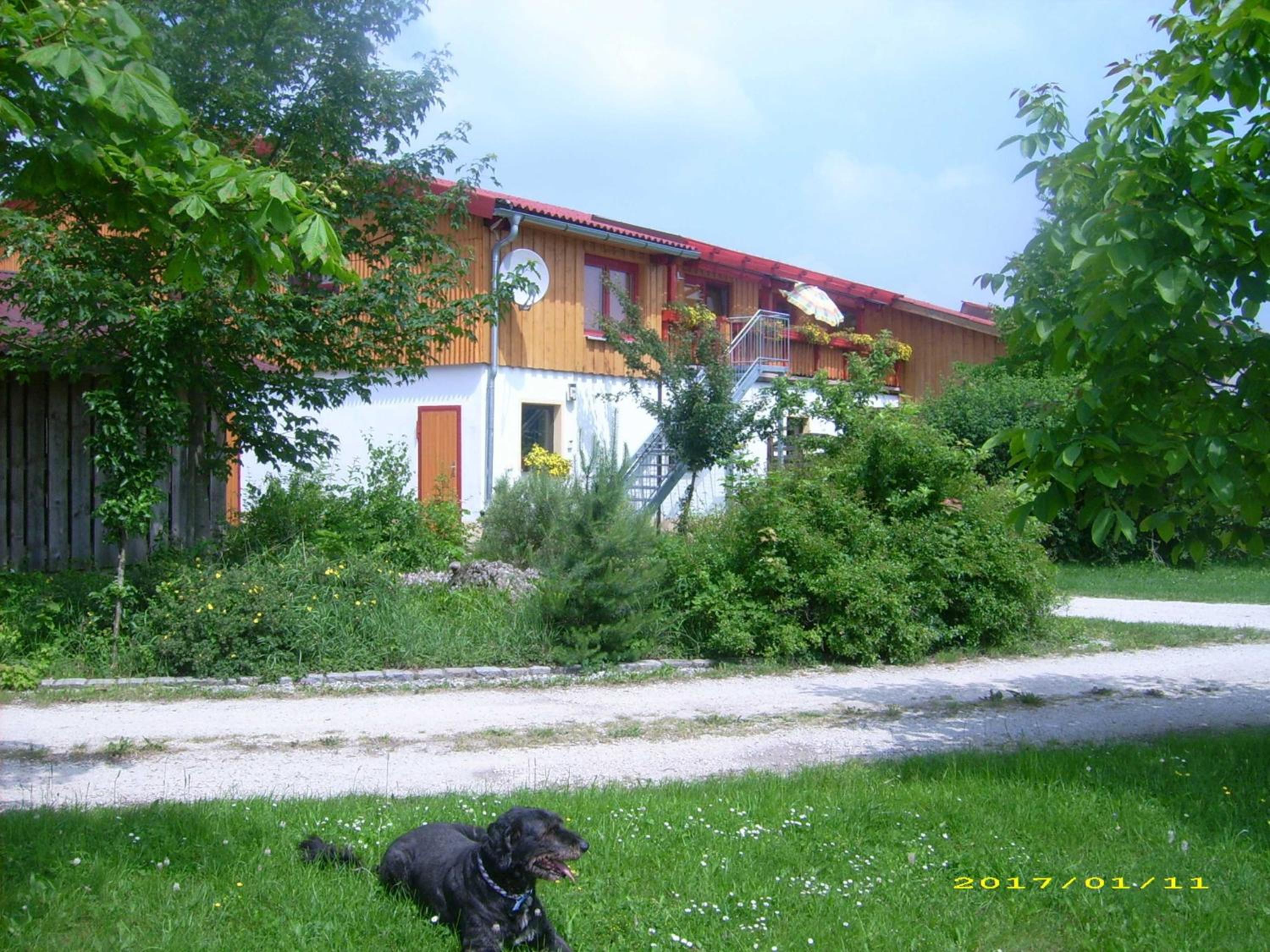 Photo 33
