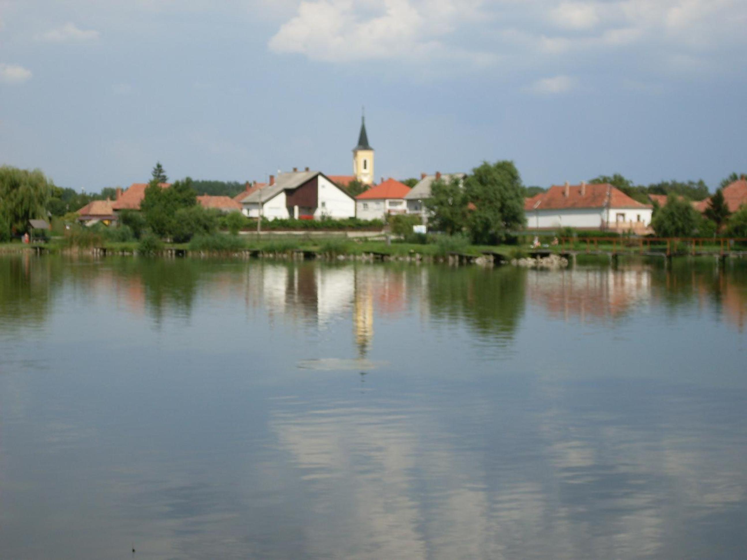 Photo 48