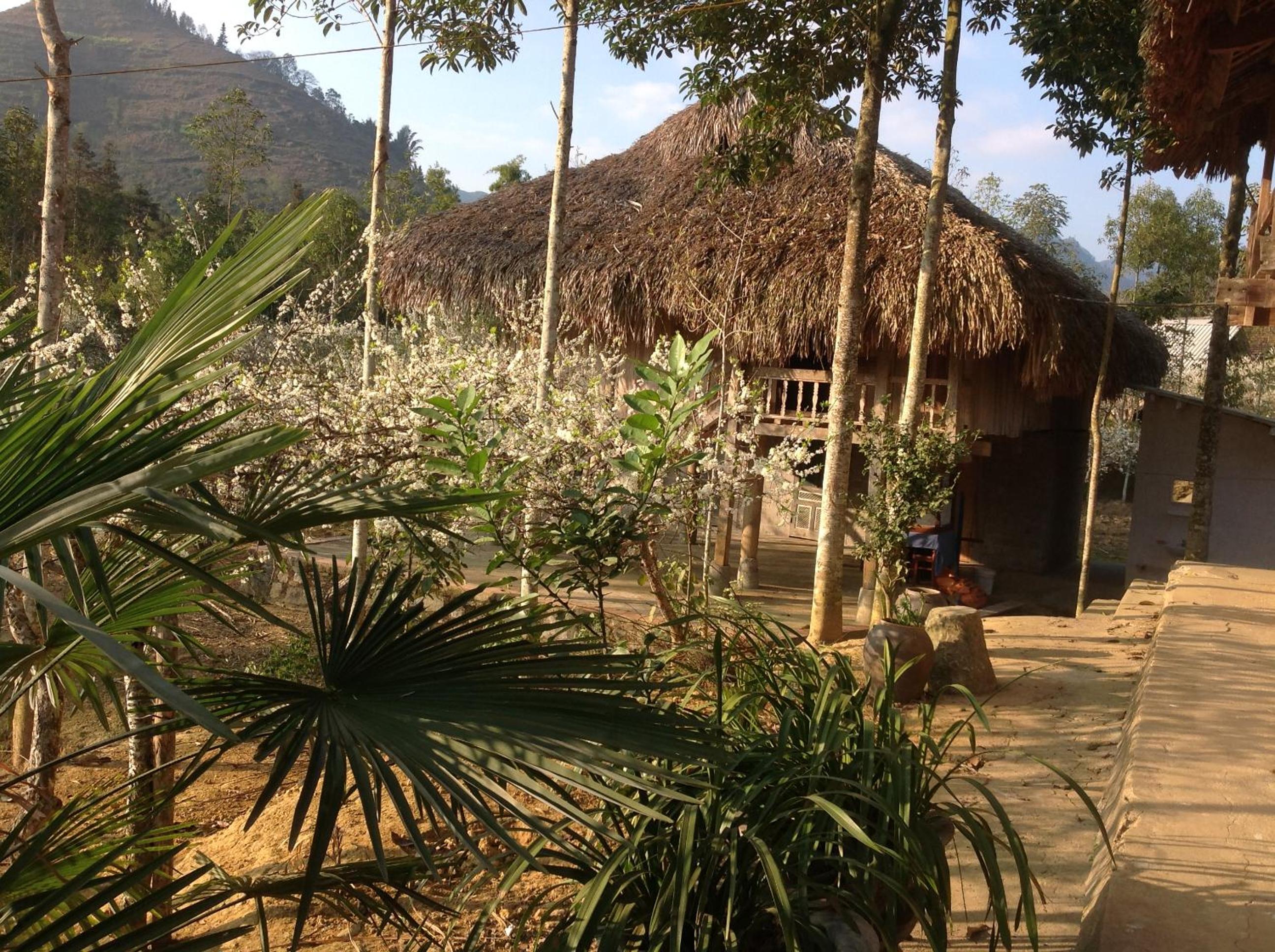 Sa House Bac Ha