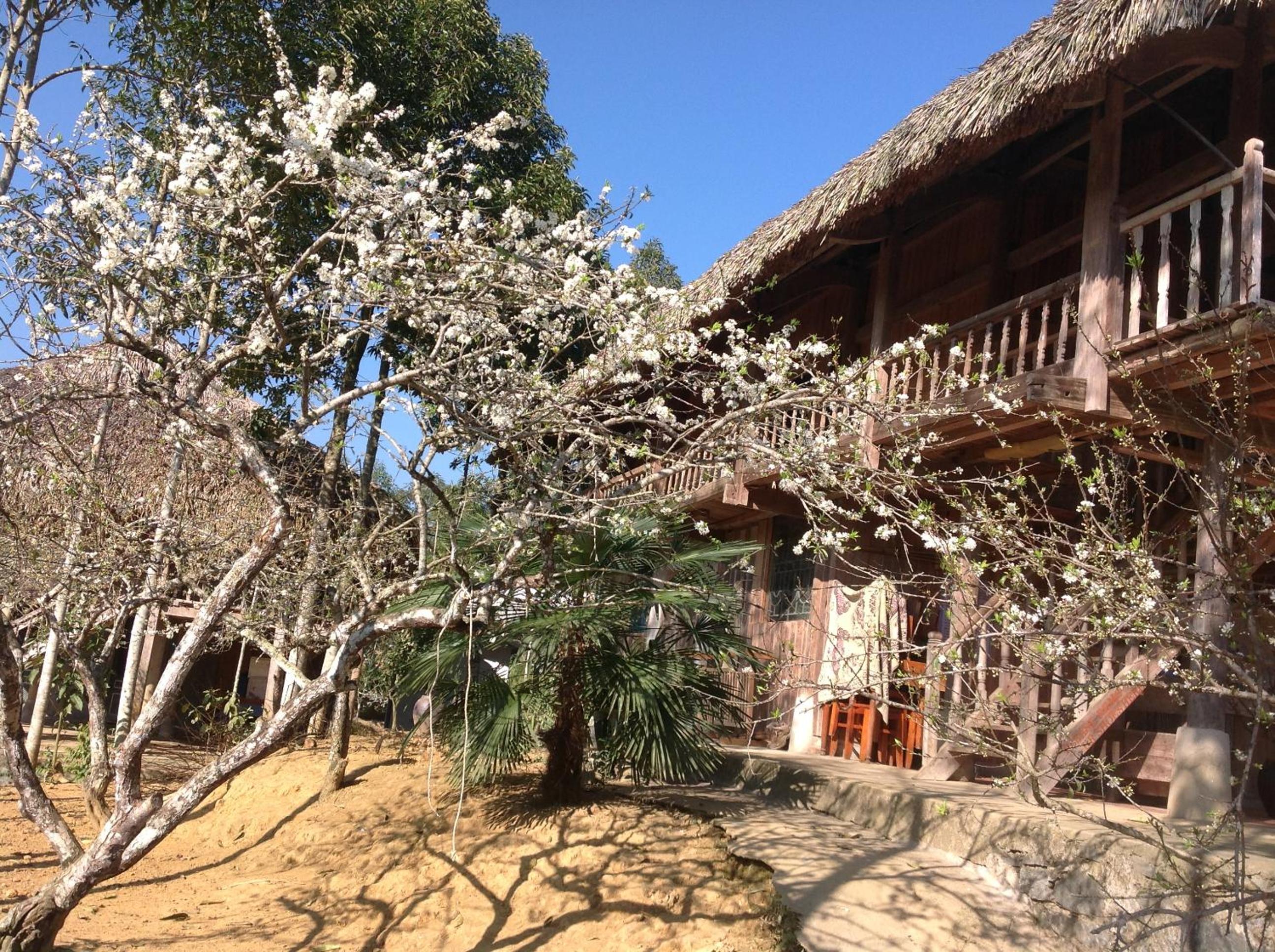 Sa House Bac Ha