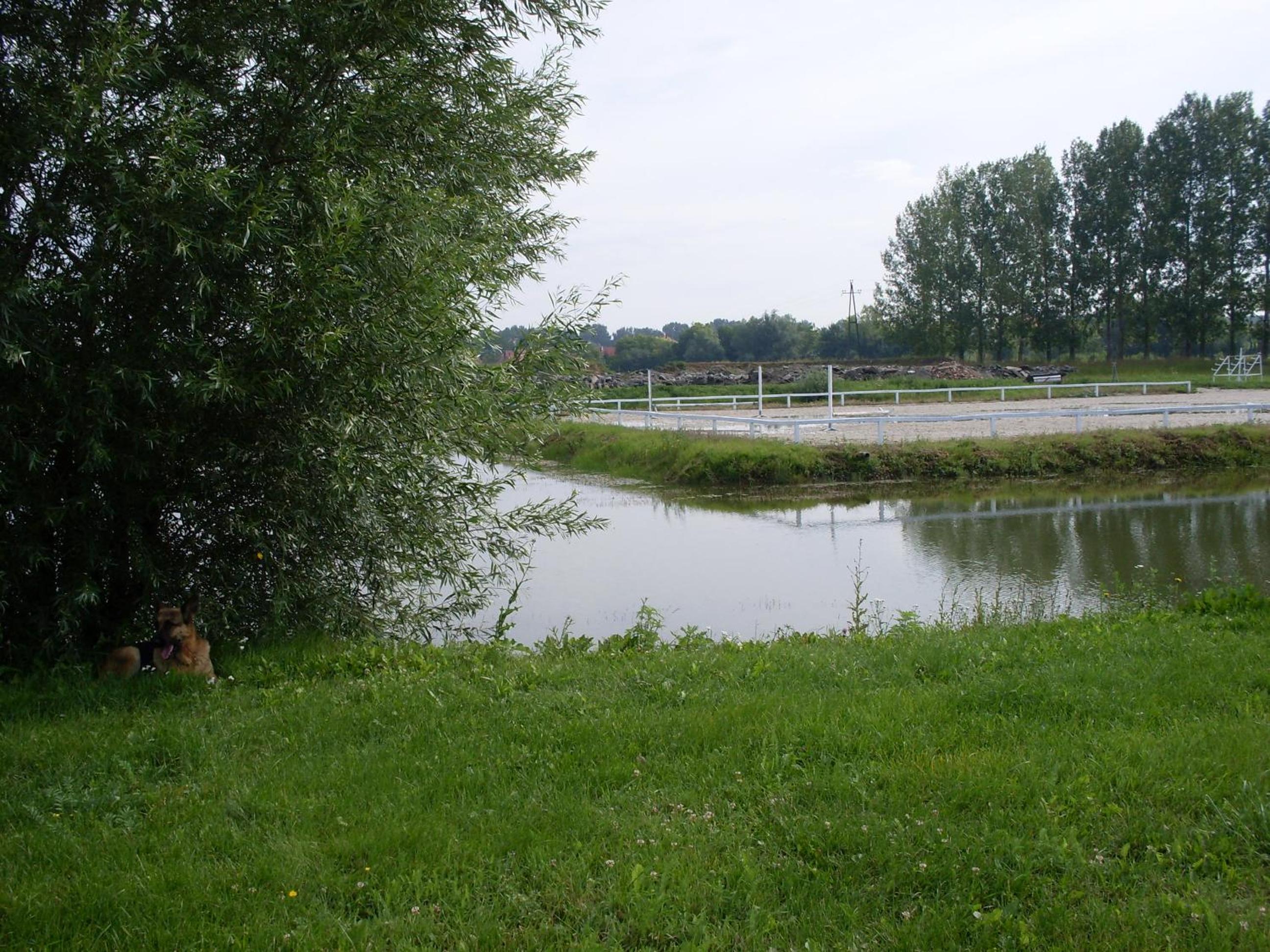 Photo 19