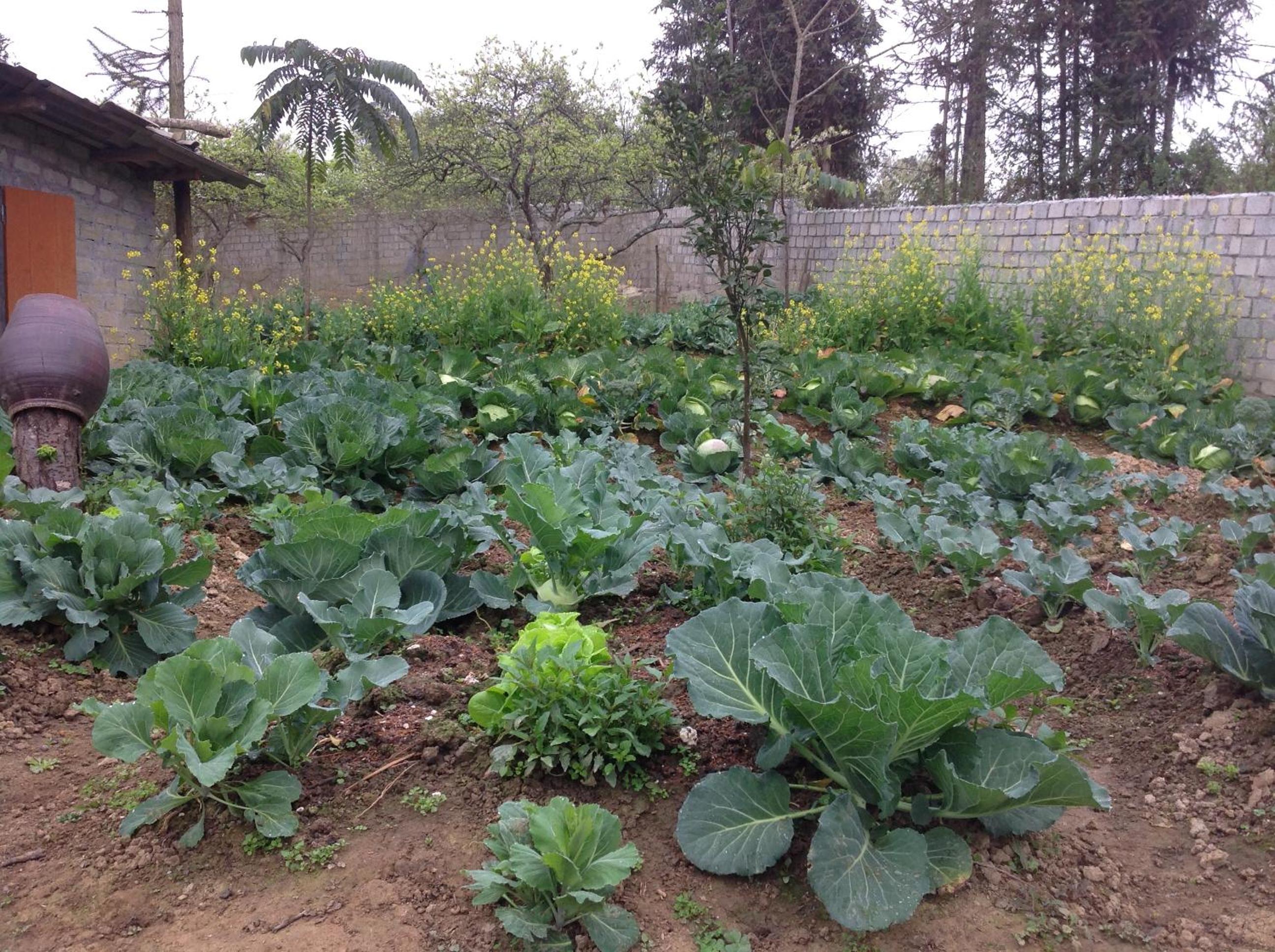 Sa House Bac Ha