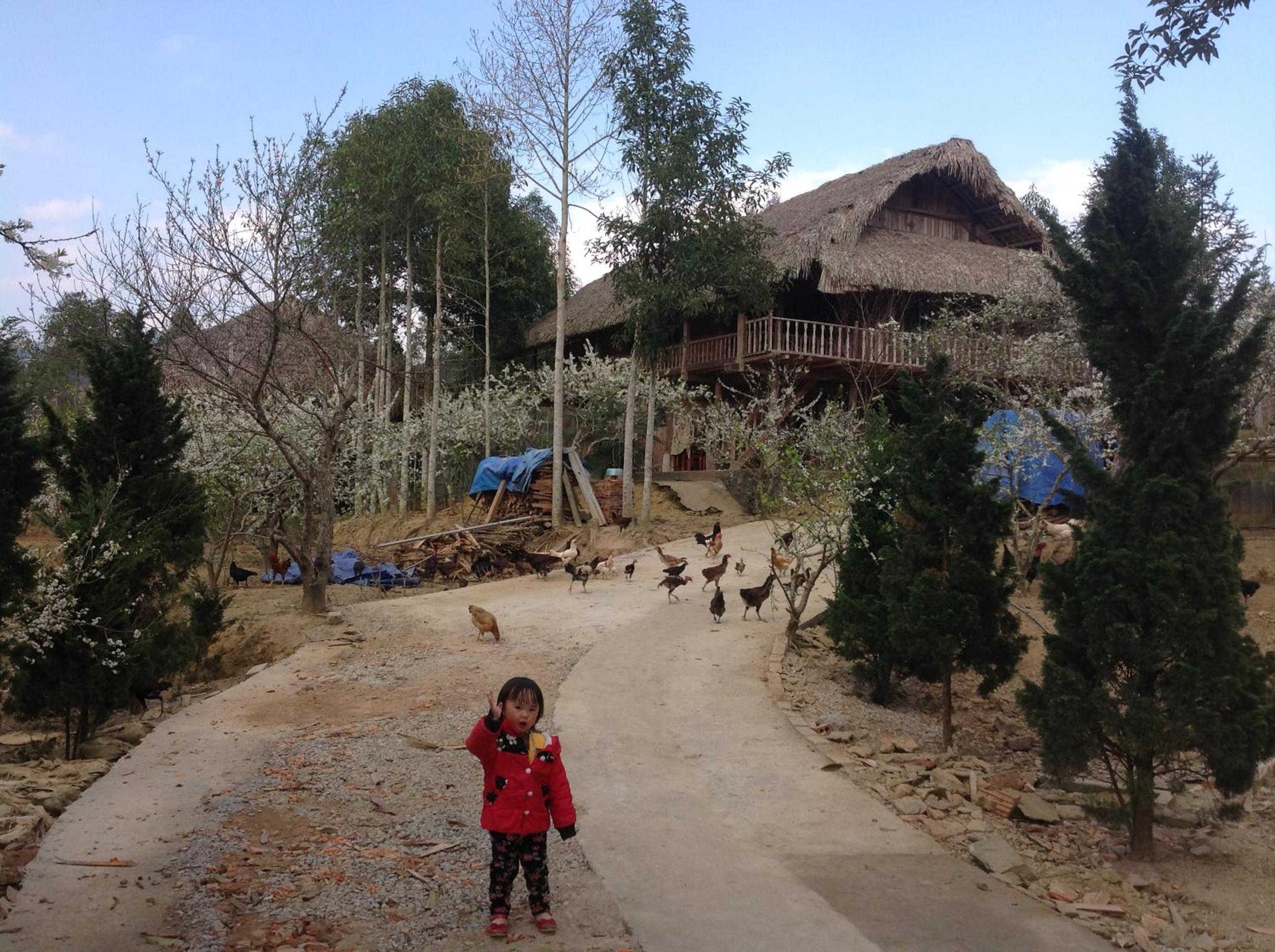 Sa House Bac Ha