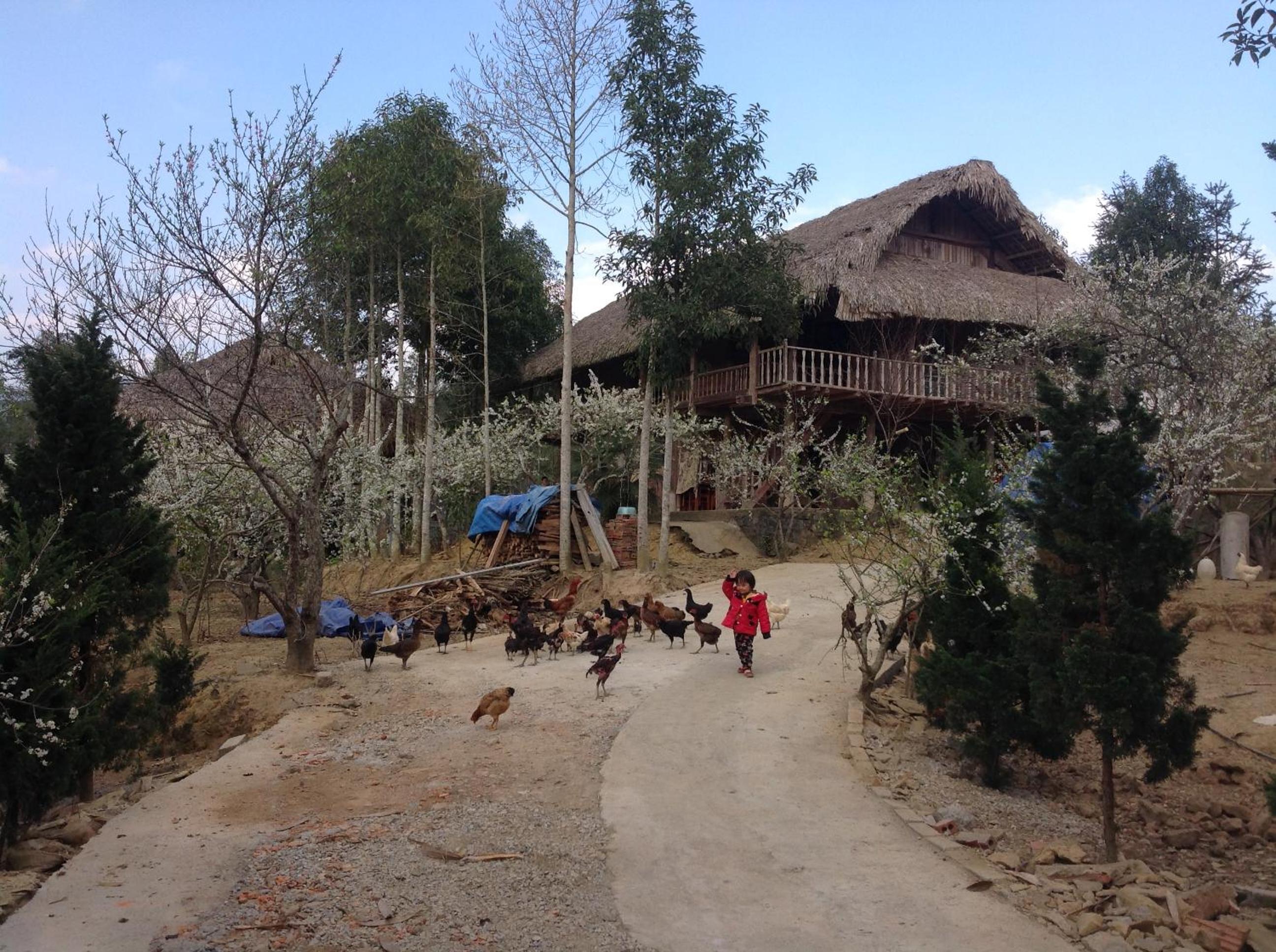 Sa House Bac Ha