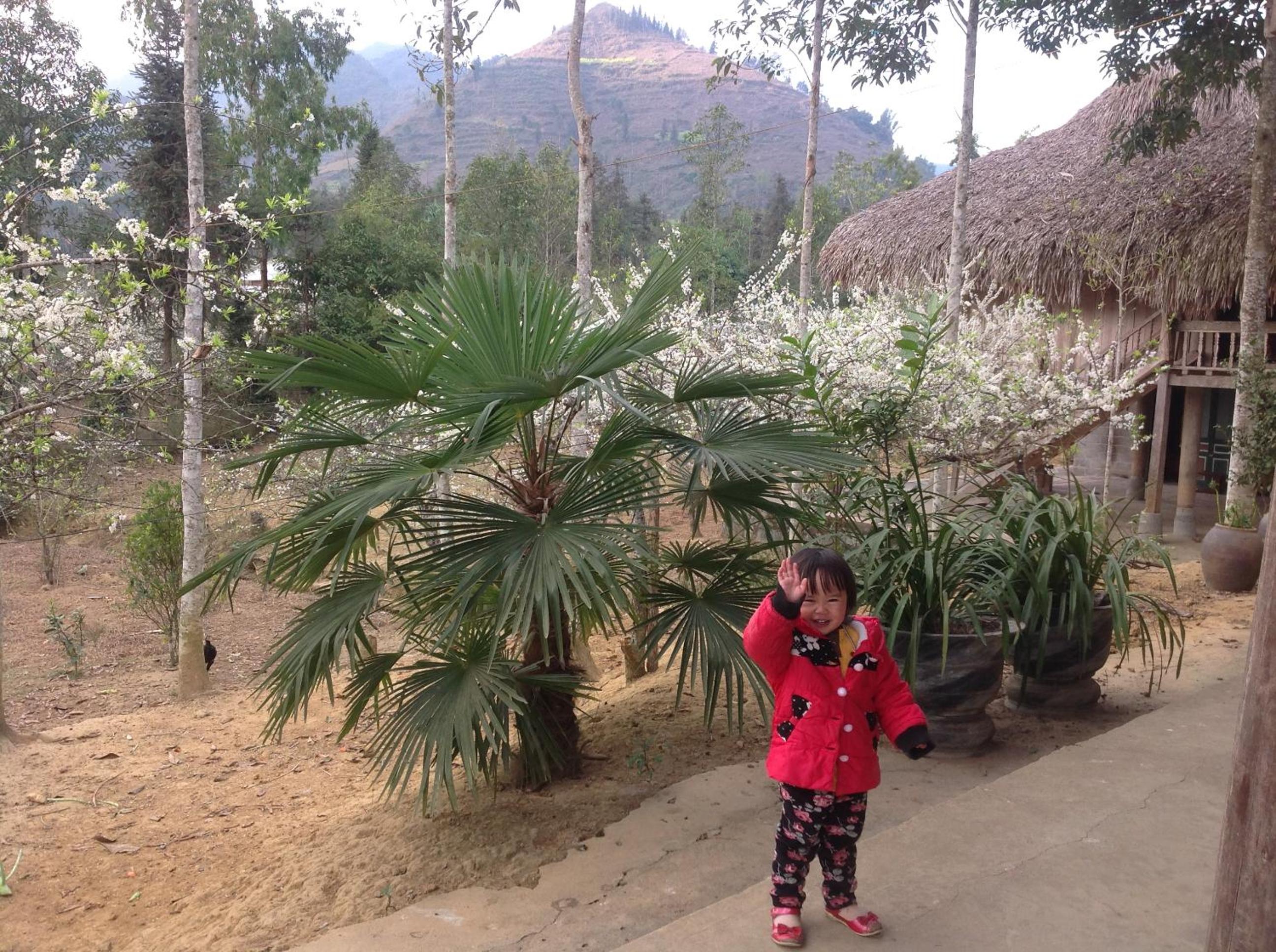 Sa House Bac Ha