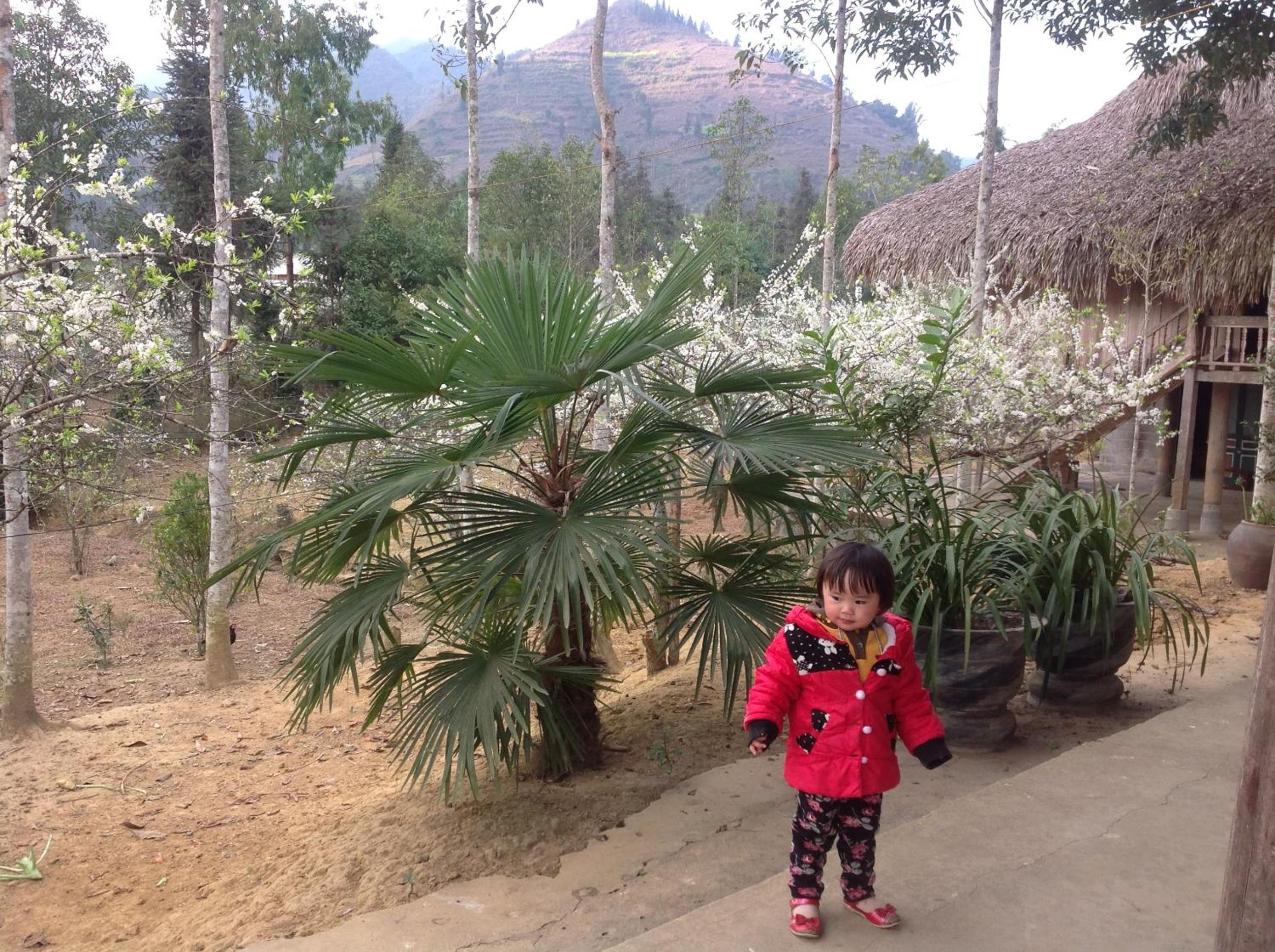 Sa House Bac Ha