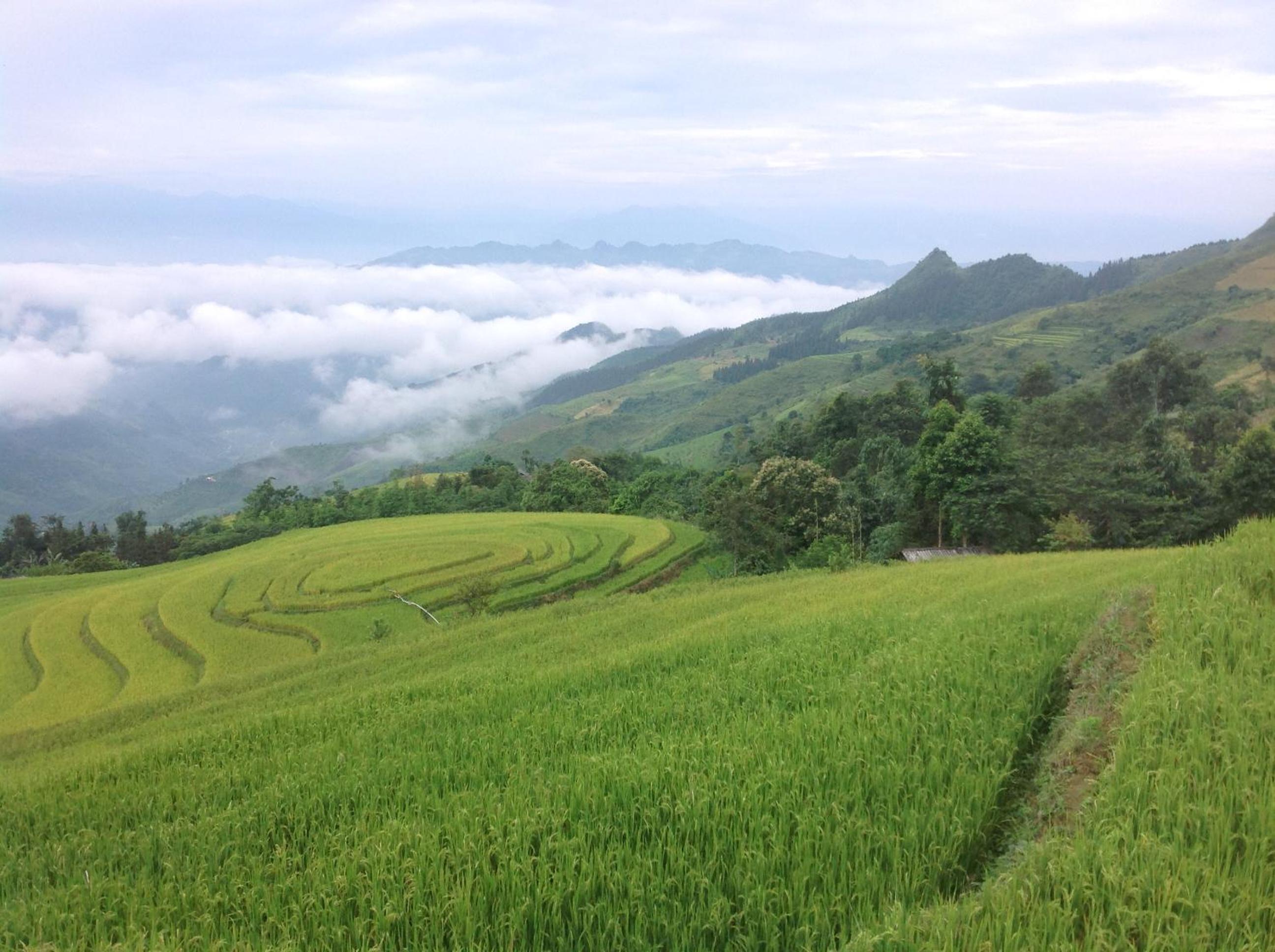 Sa House Bac Ha