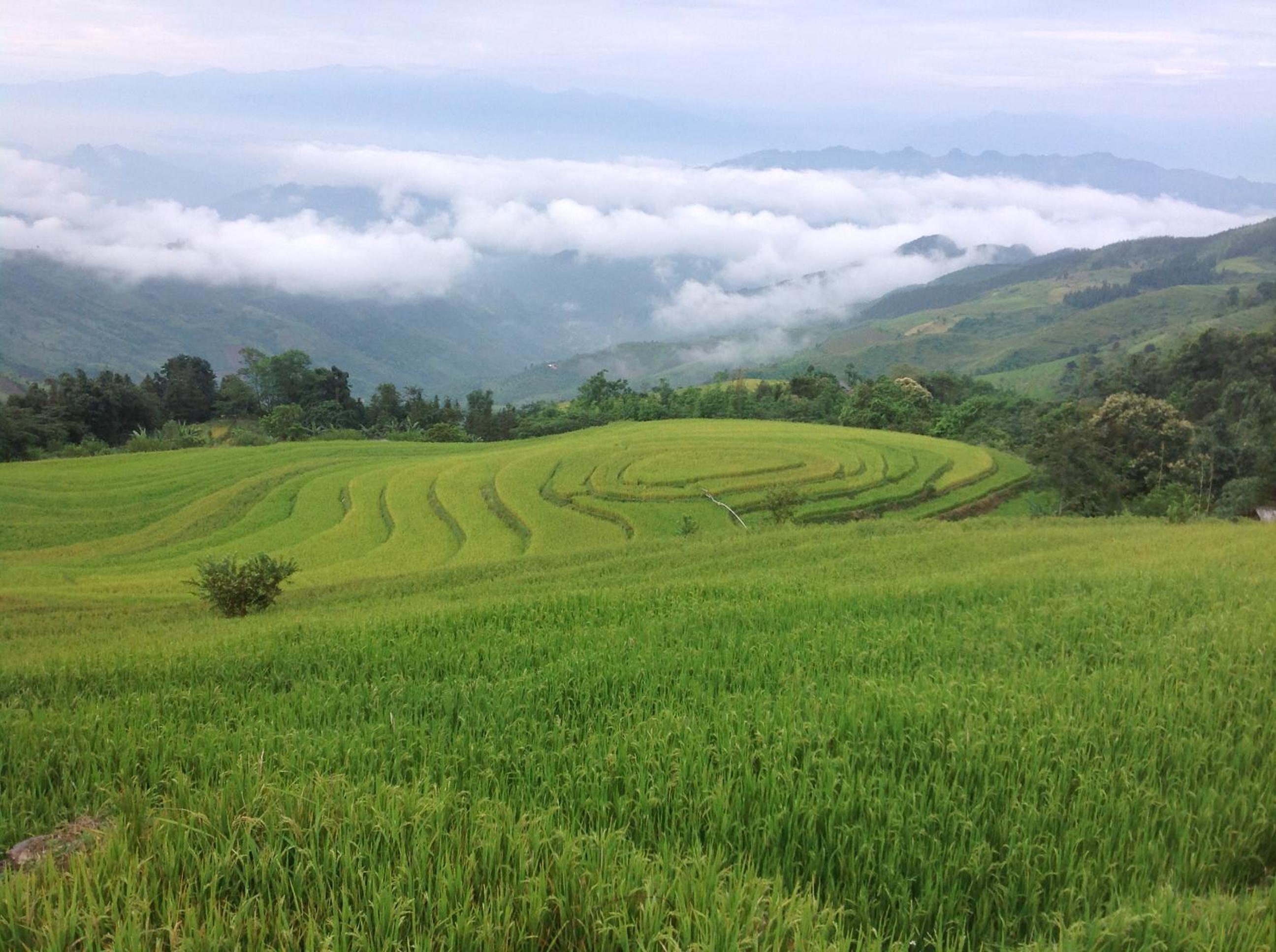 Sa House Bac Ha