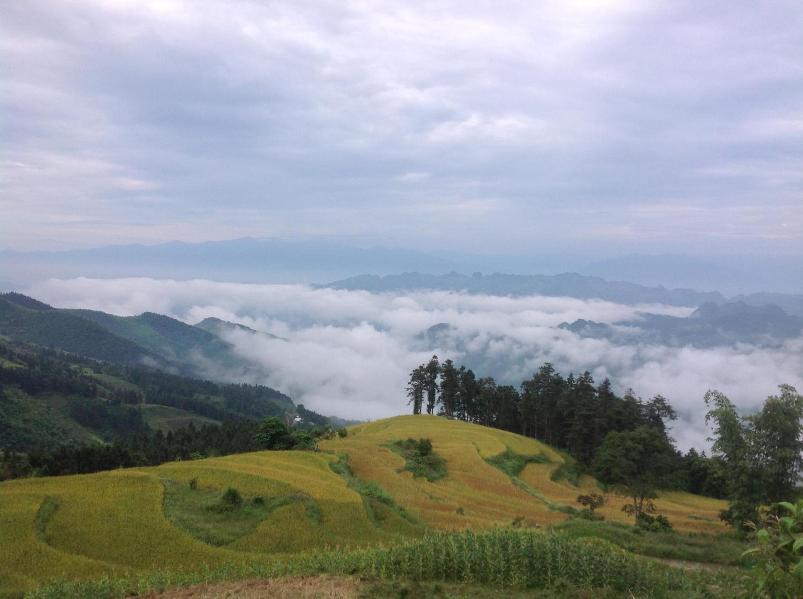Sa House Bac Ha