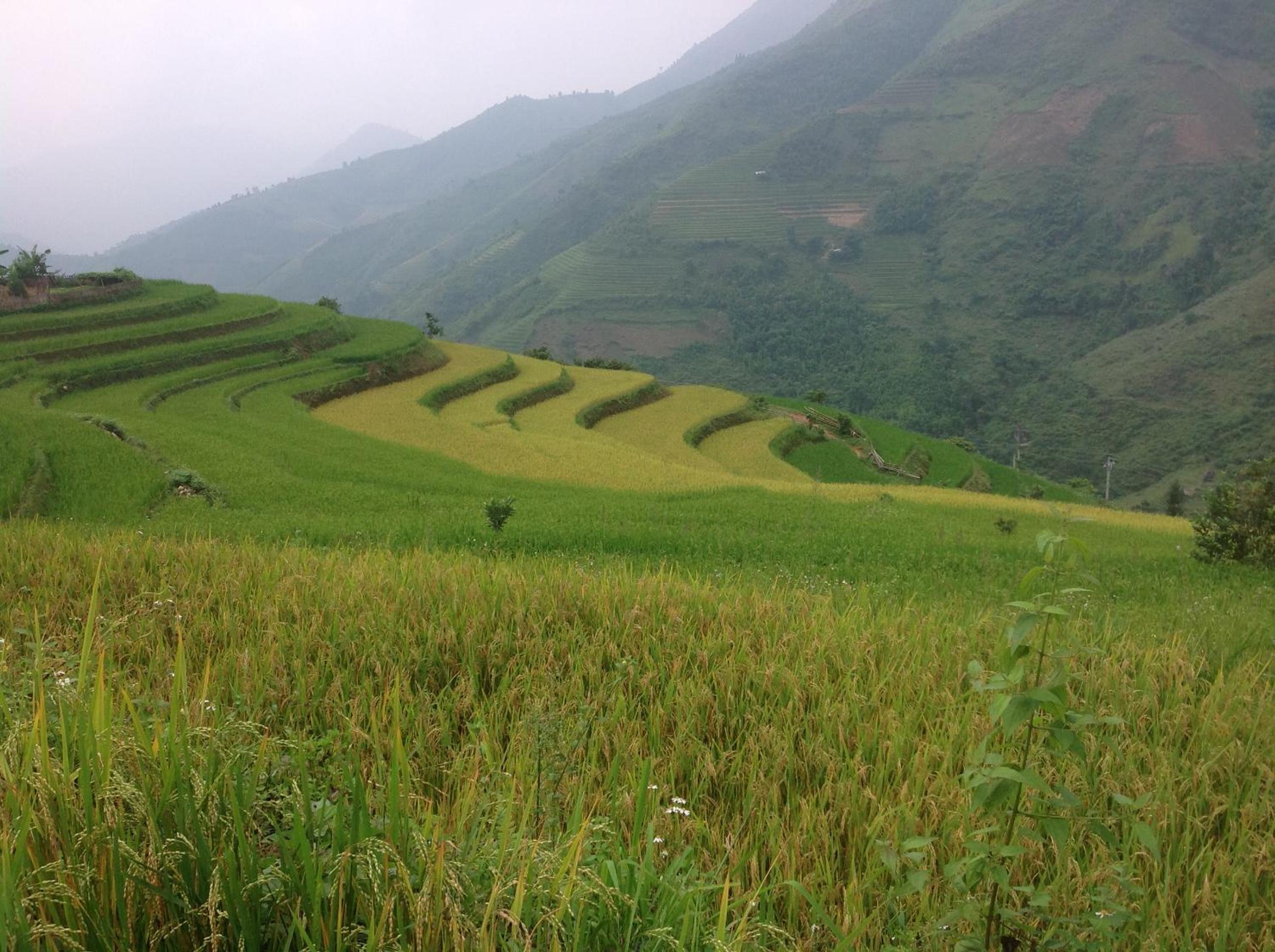 Sa House Bac Ha