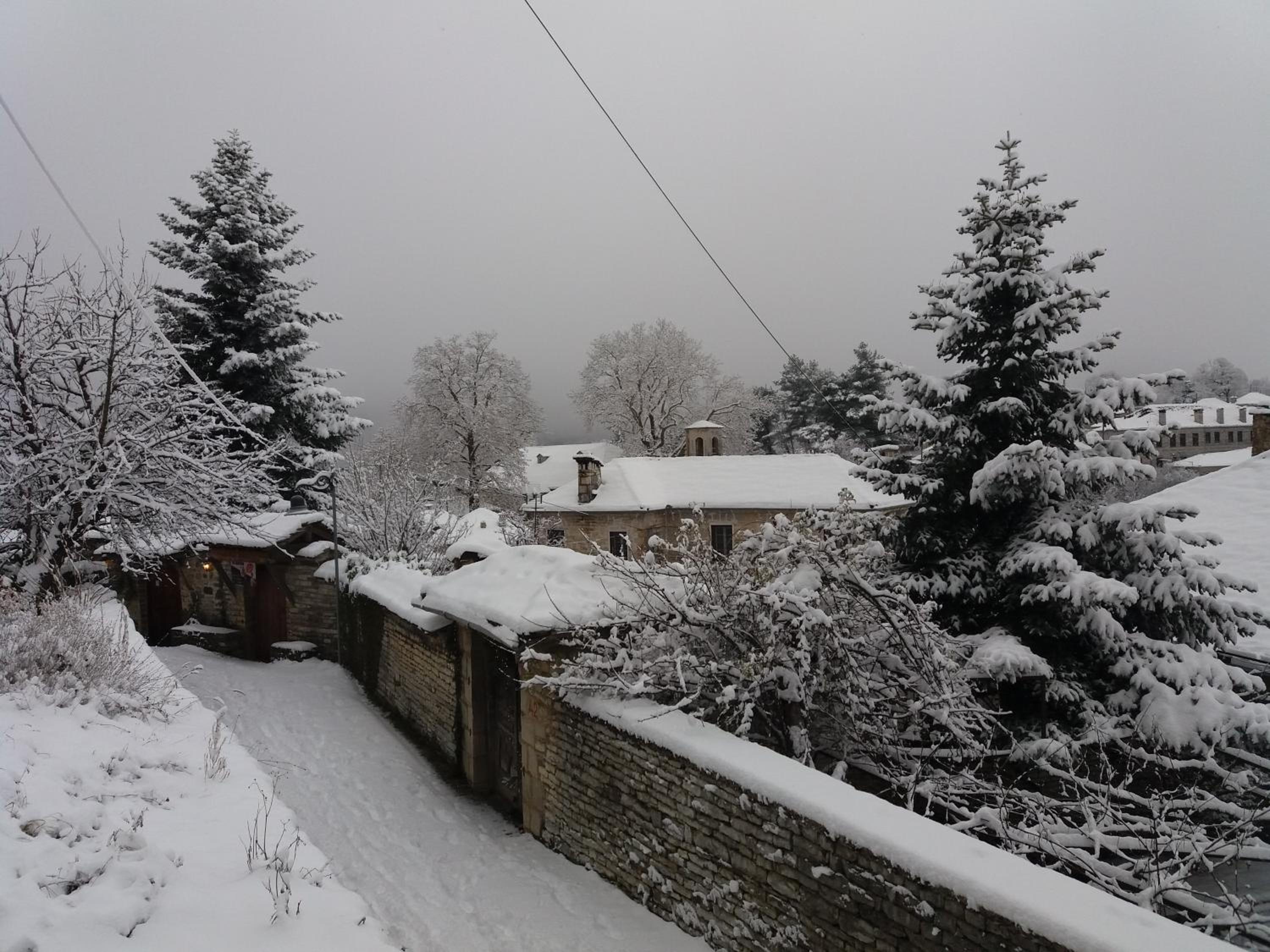 Photo 43