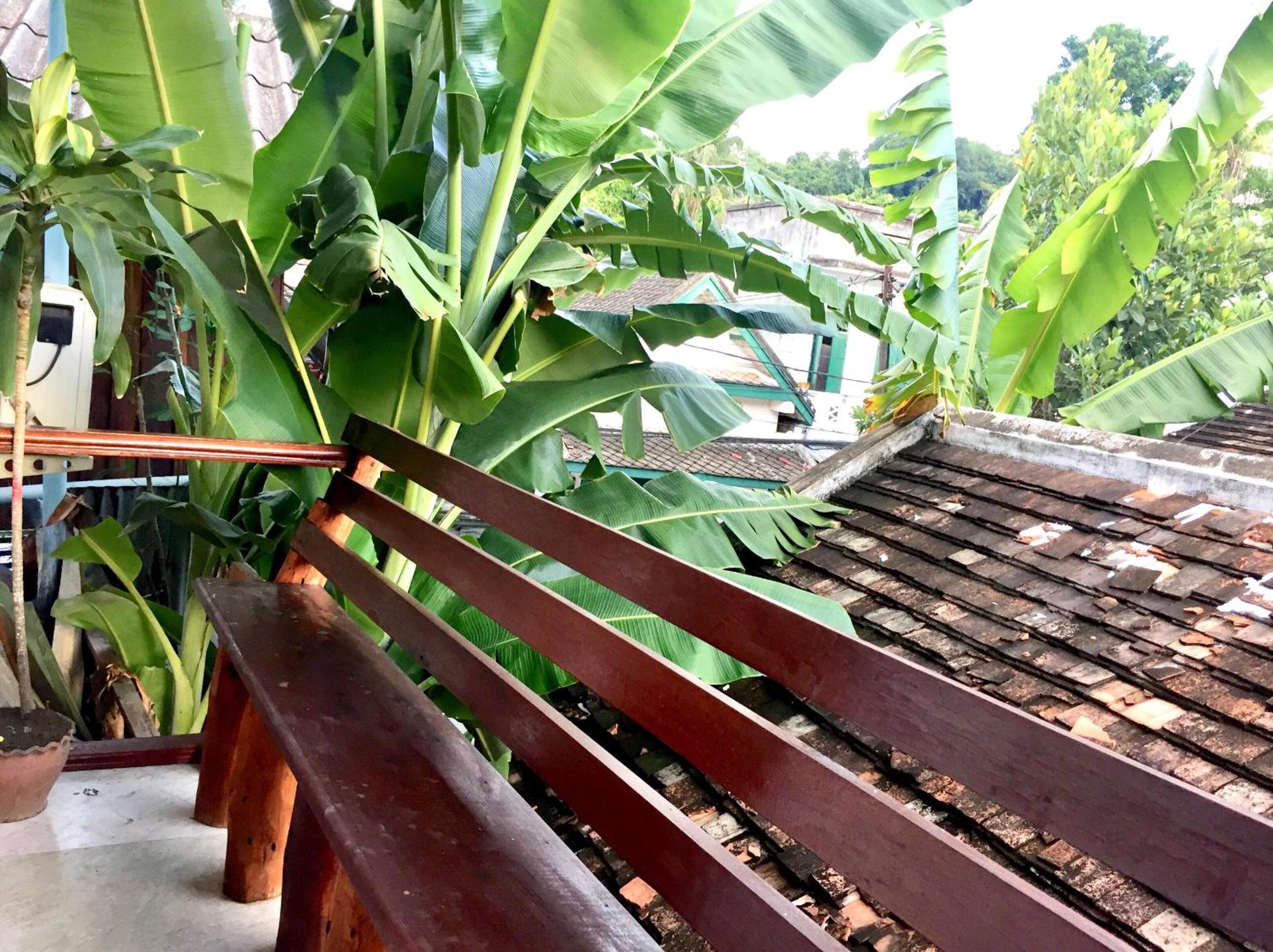Soutikone1 Guesthouse