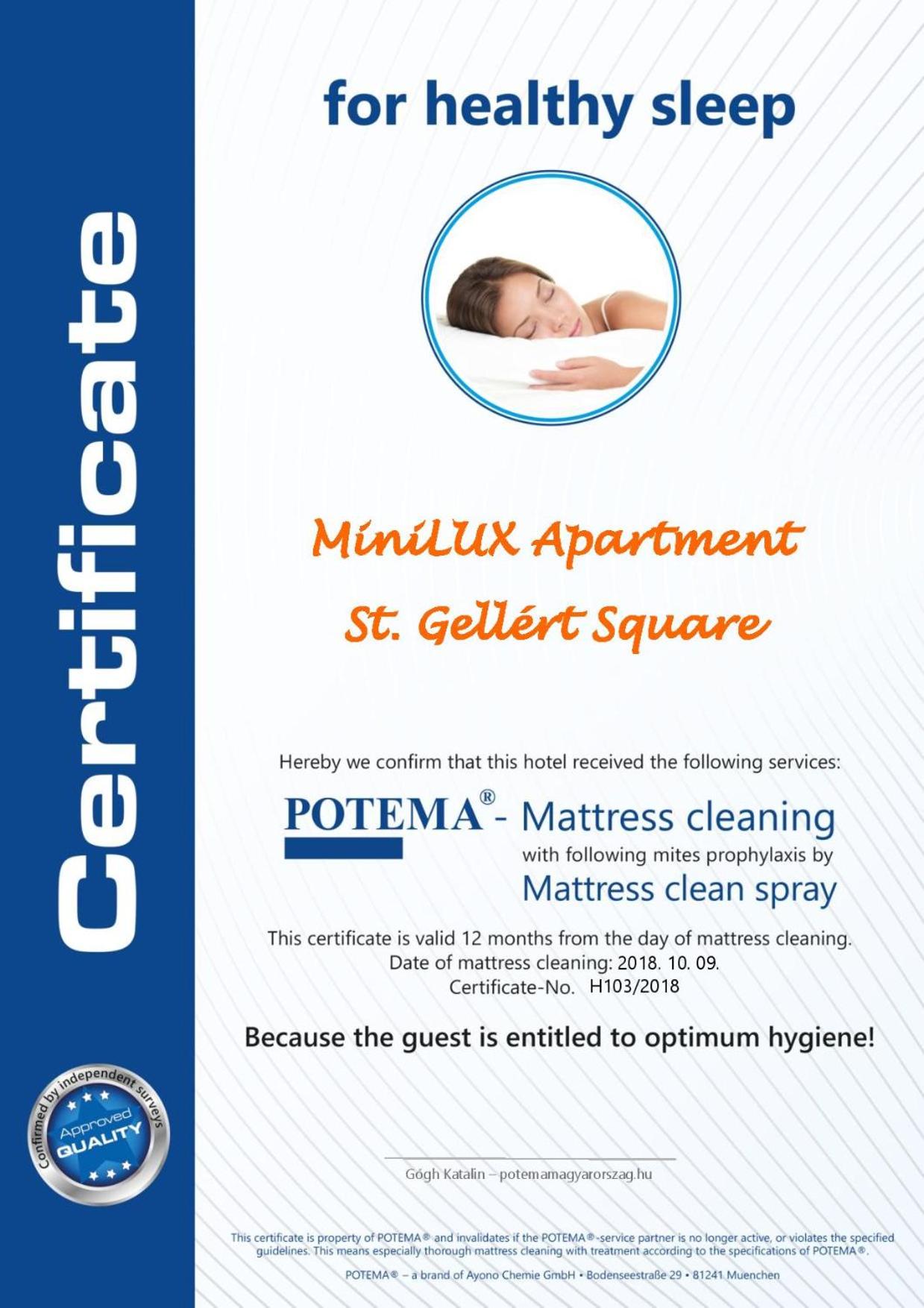St. Gellért Square - Minilux Apartman view 4