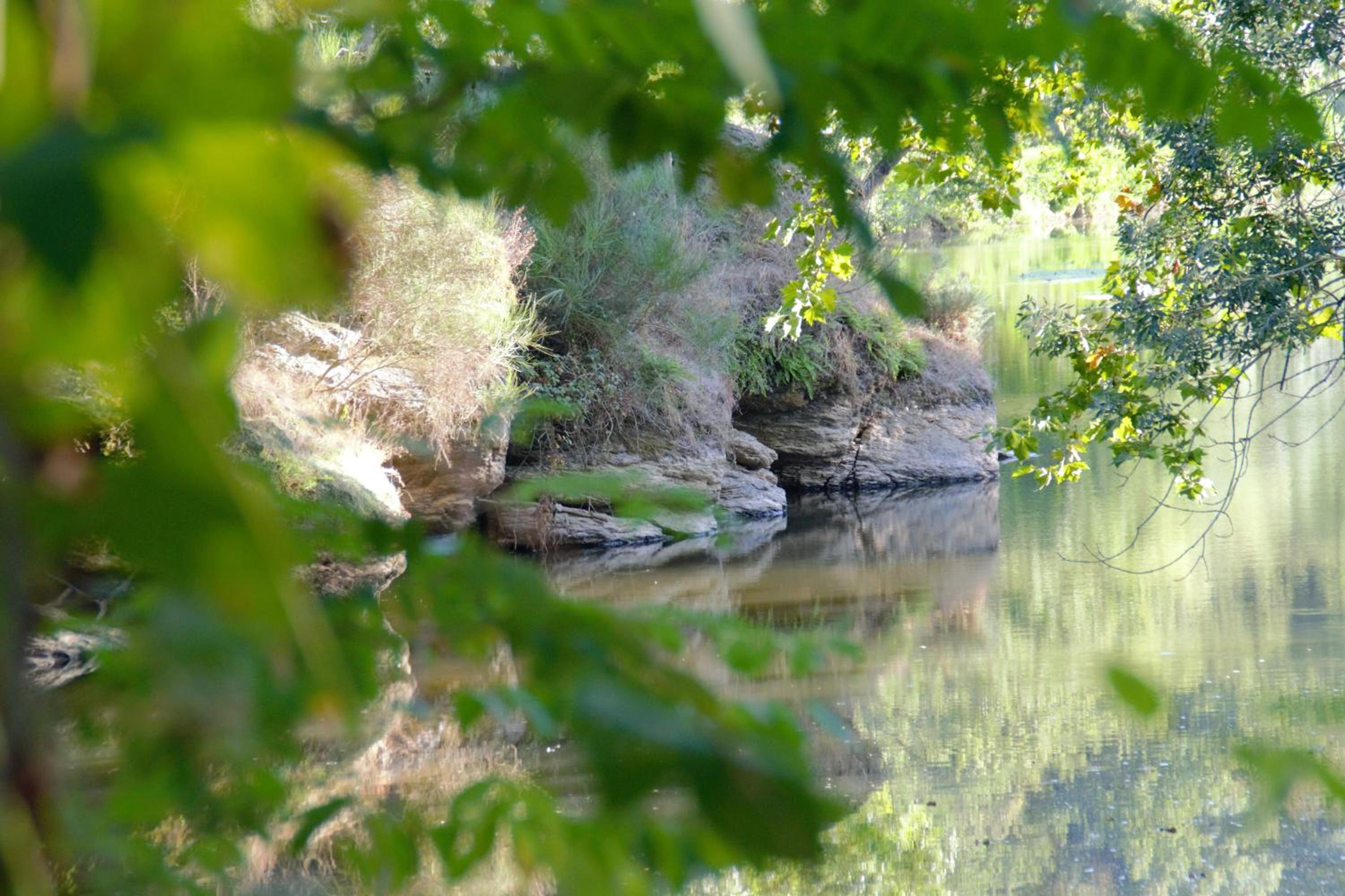 Le Moulin Neuf, photo 6