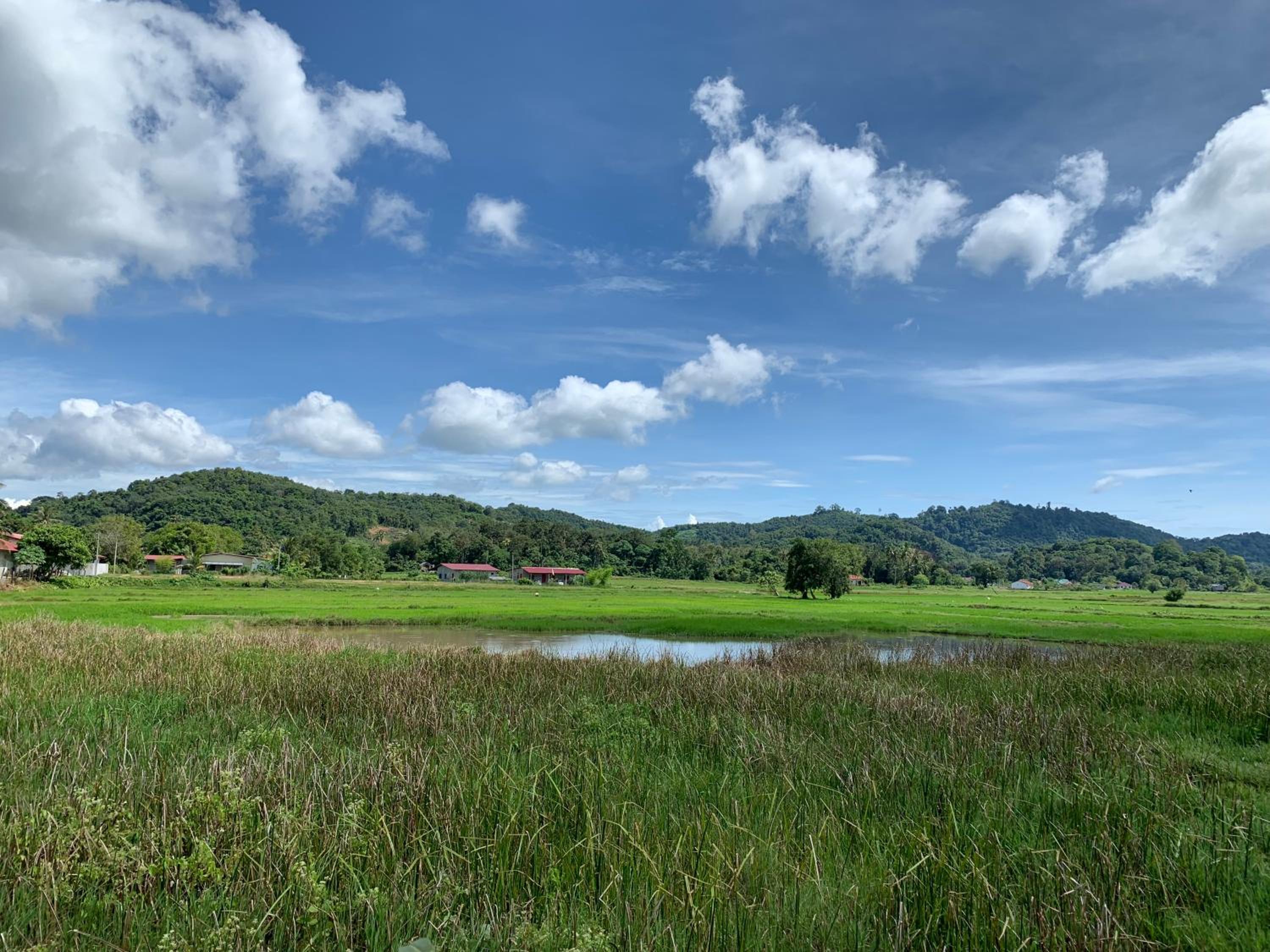 Cloud9 Holiday Cottages photo 6